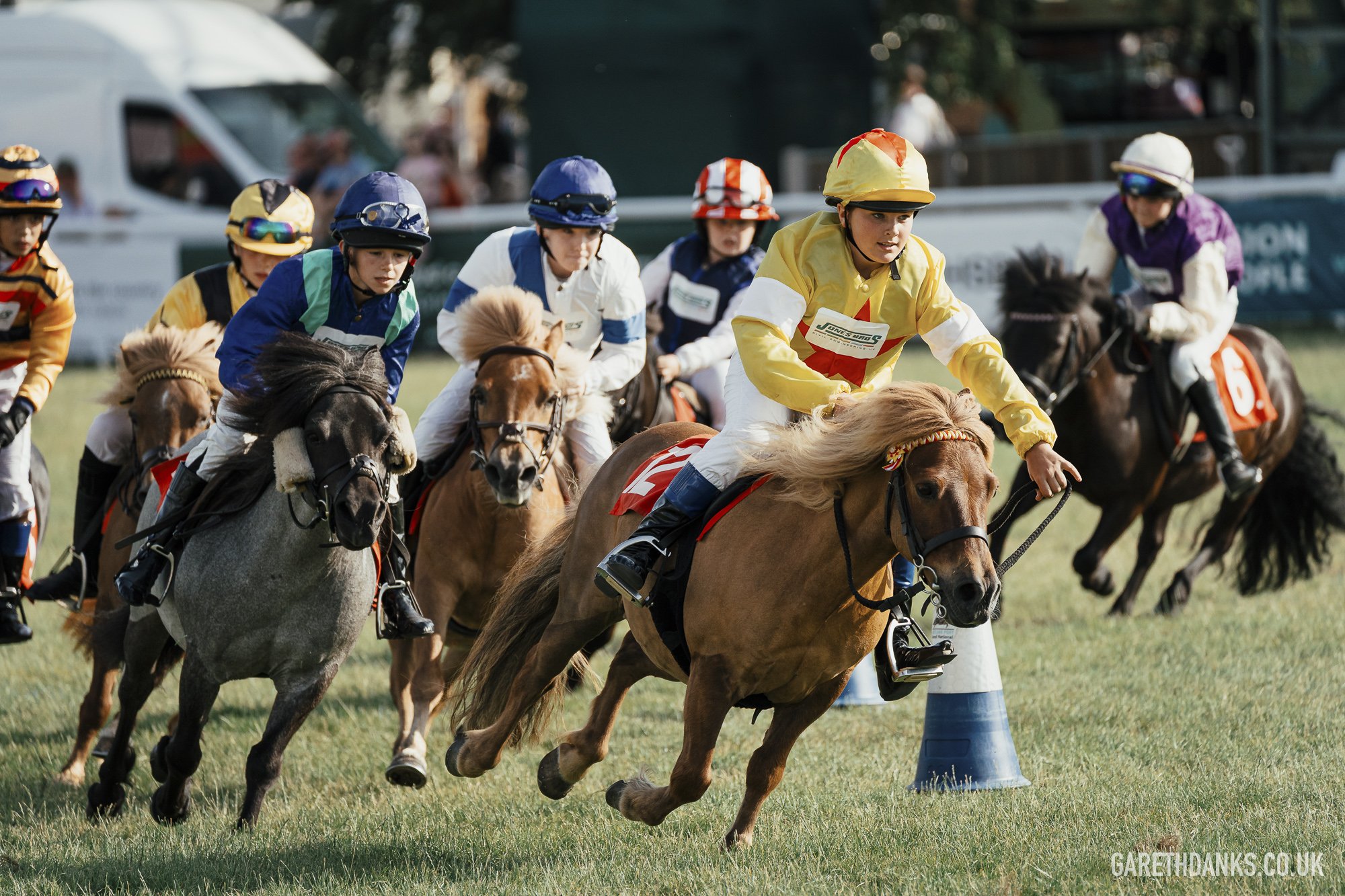 Royal Welsh Show 2026 photography _A7_7355.jpg