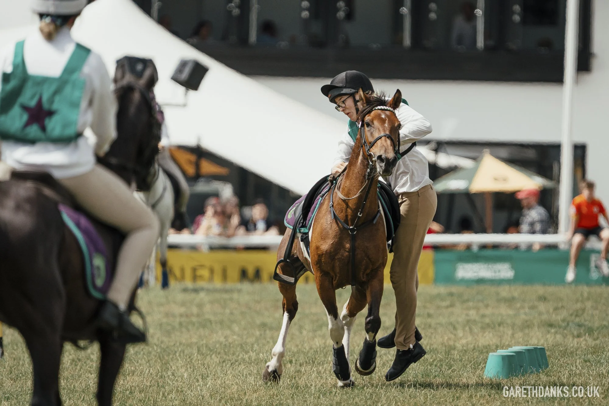 Royal Welsh Show 2026 photography _A7_7056.jpg