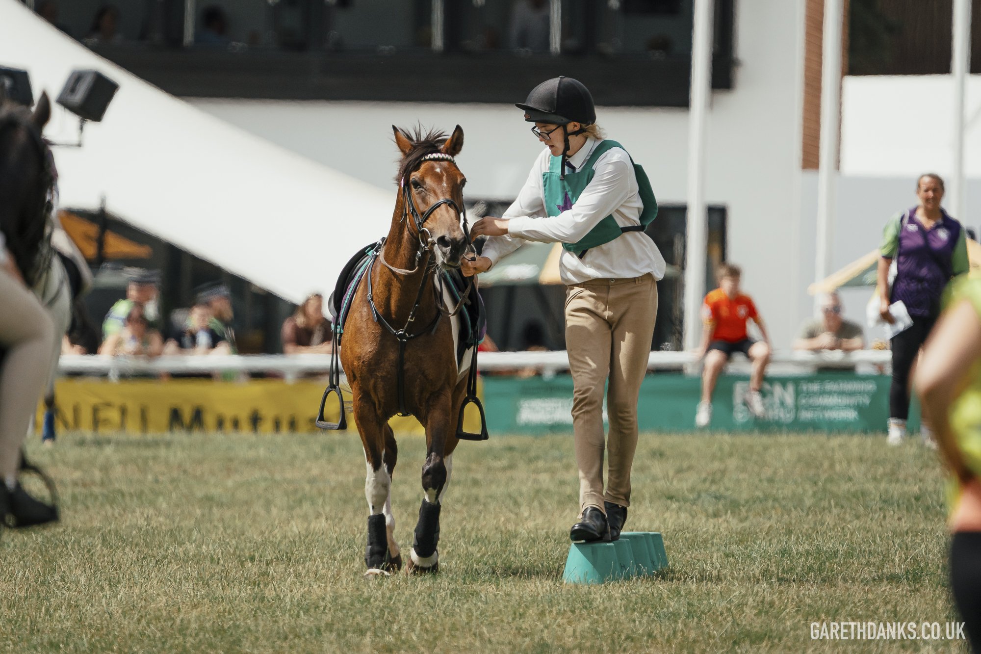 Royal Welsh Show 2026 photography _A7_7052.jpg