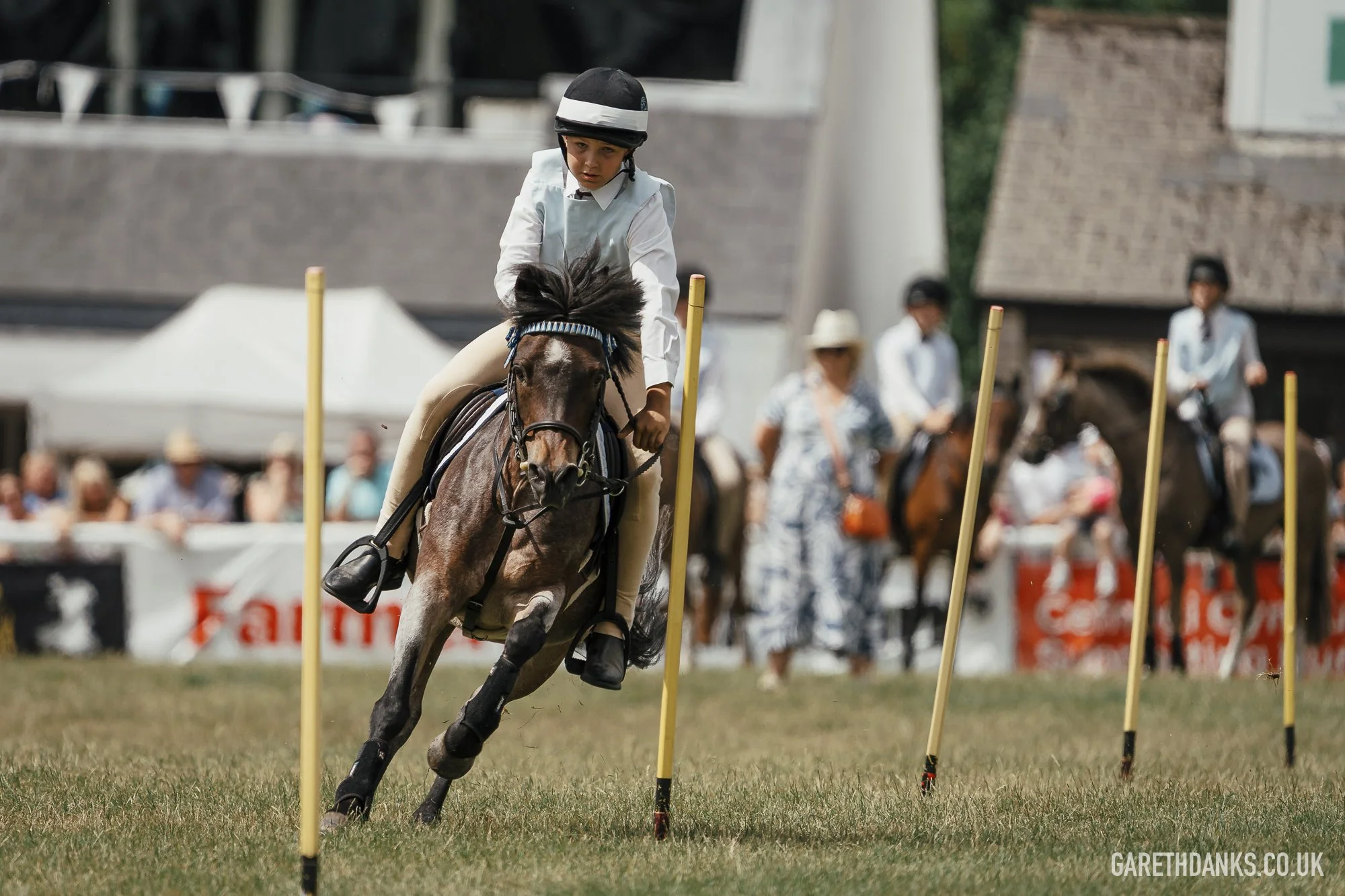 Royal Welsh Show 2026 photography _A7_6836.jpg