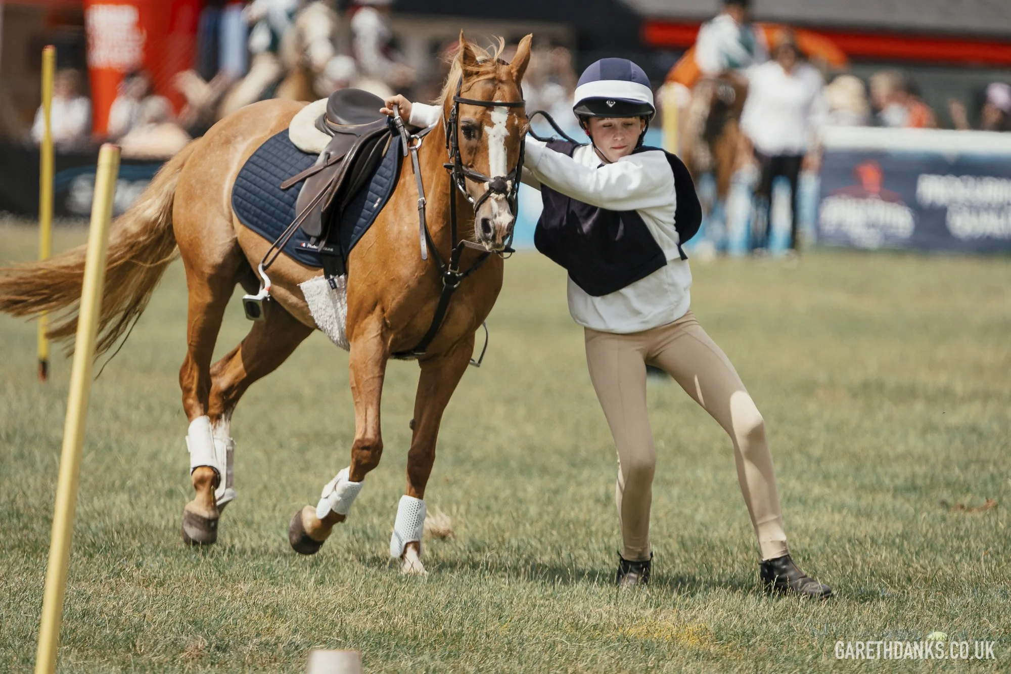 Royal Welsh Show 2026 photography _A7_6920.jpg