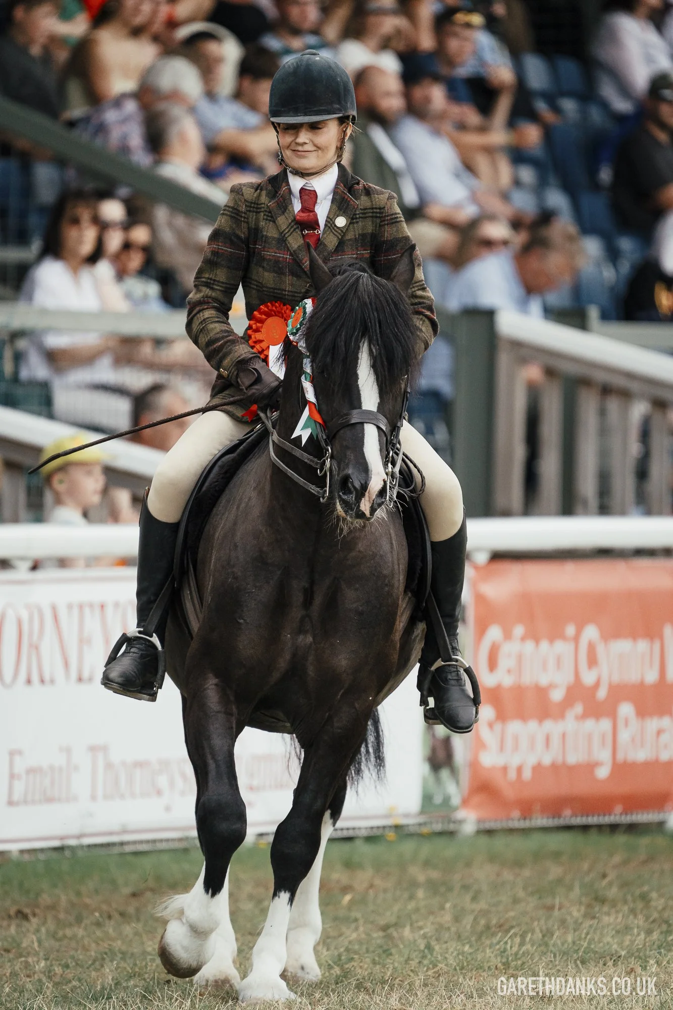 Royal Welsh Show 2026 photography _A7_7194.jpg