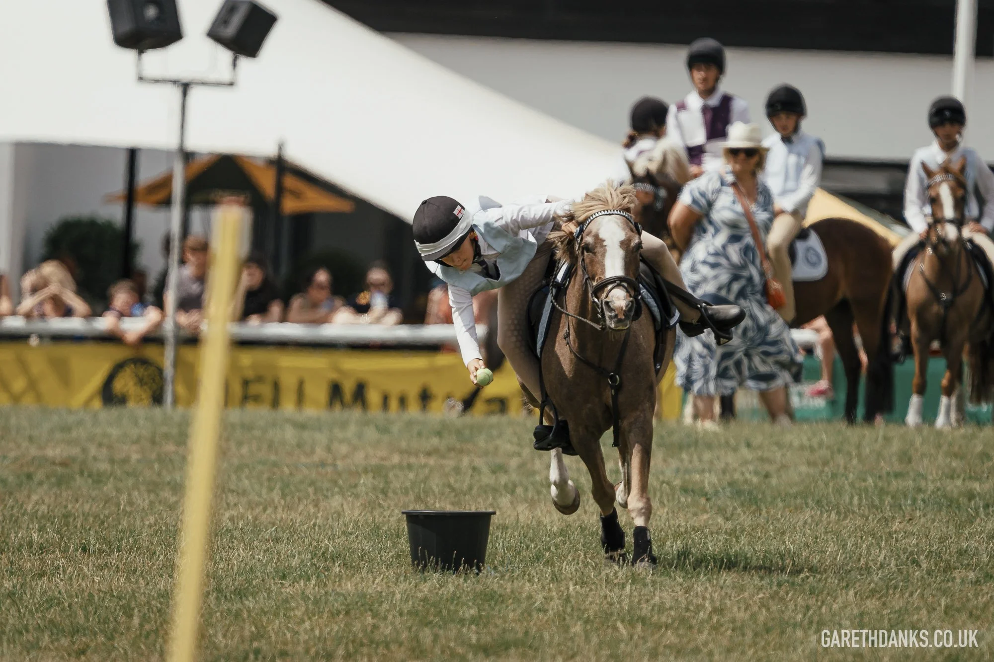 Royal Welsh Show 2026 photography _A7_6908.jpg