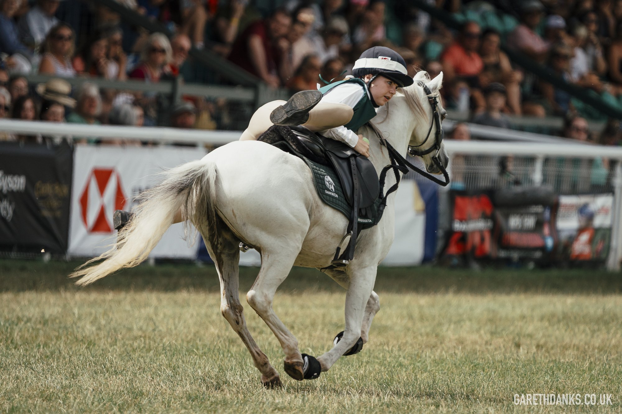 Royal Welsh Show 2026 photography _A7_6932.jpg