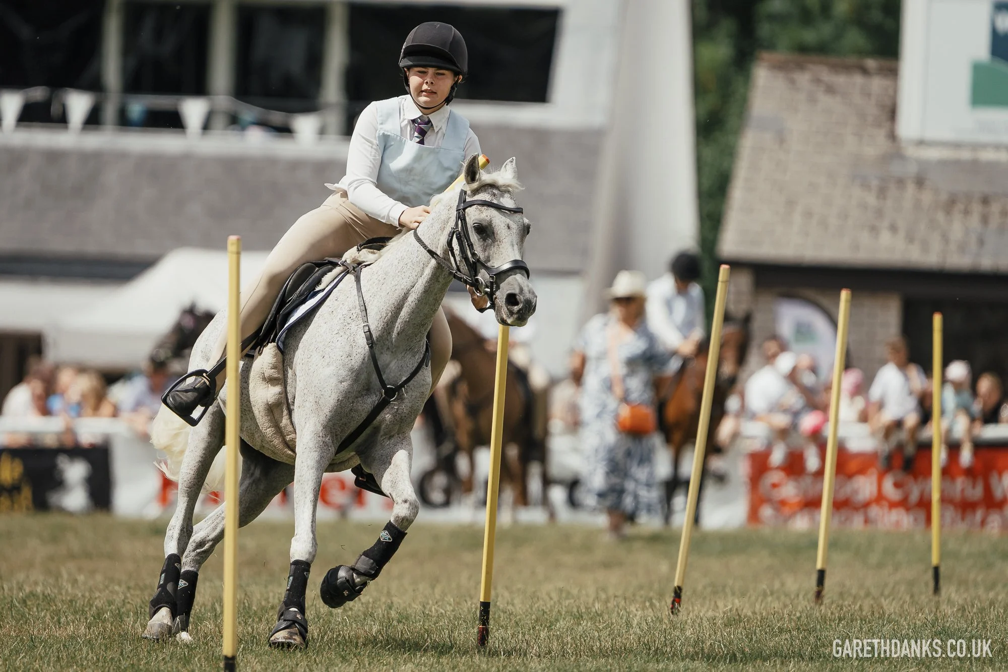 Royal Welsh Show 2026 photography _A7_6825.jpg