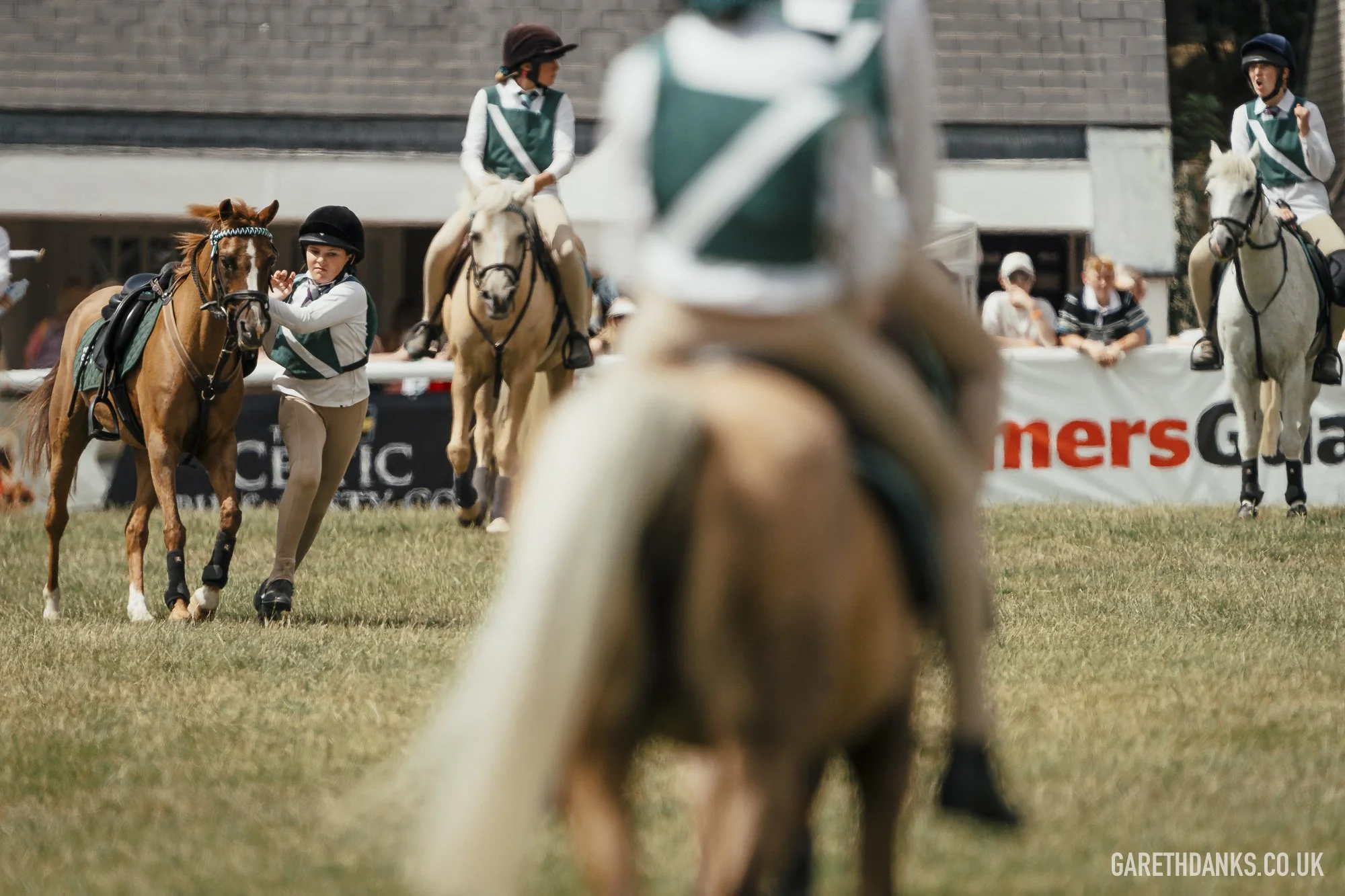 Royal Welsh Show 2026 photography _A7_7034.jpg