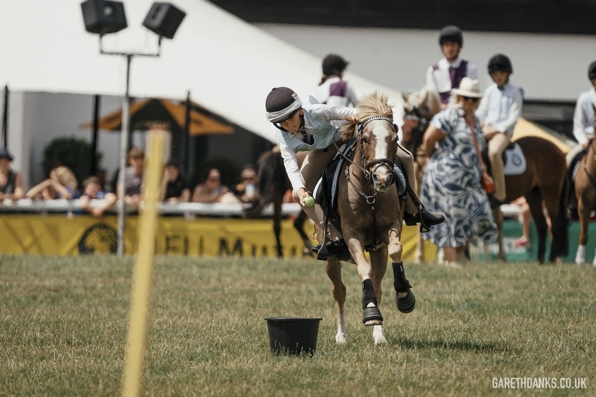 Royal Welsh Show 2026 photography _A7_6907.jpg