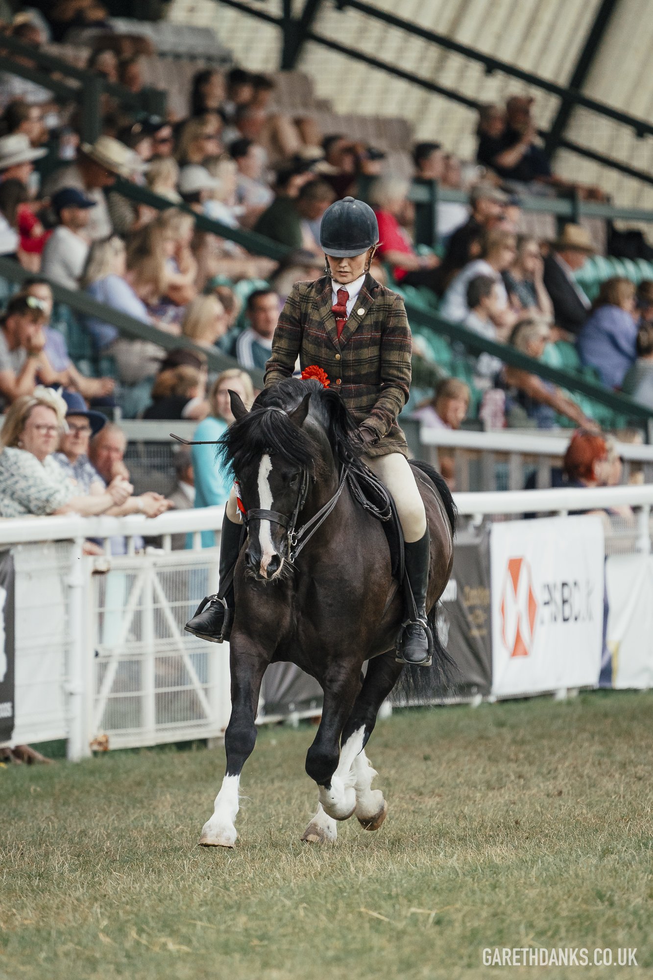 Royal Welsh Show 2026 photography _A7_7181.jpg