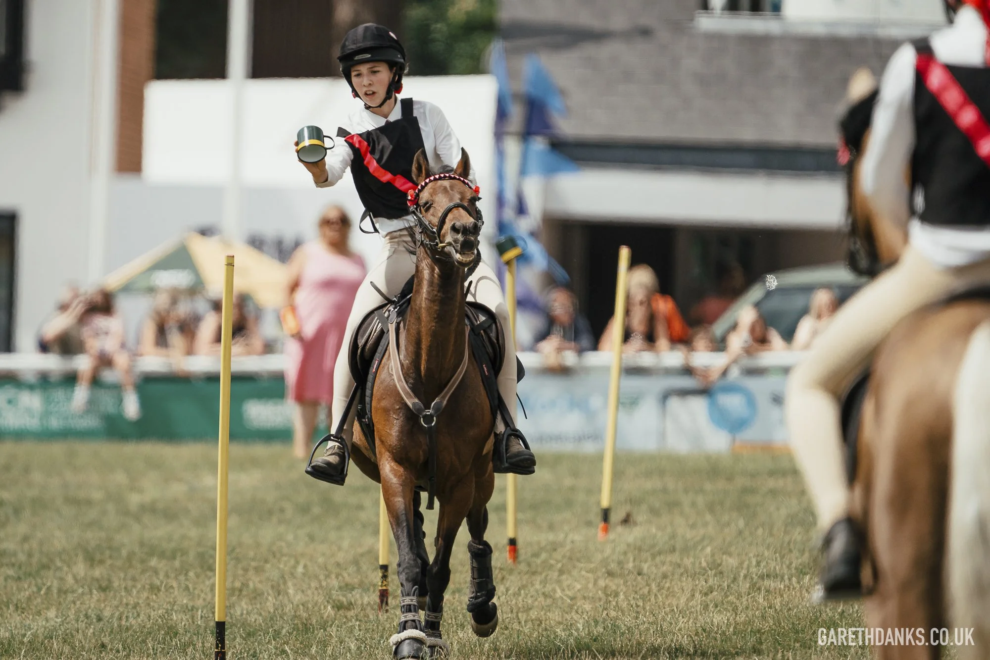 Royal Welsh Show 2026 photography _A7_6946.jpg