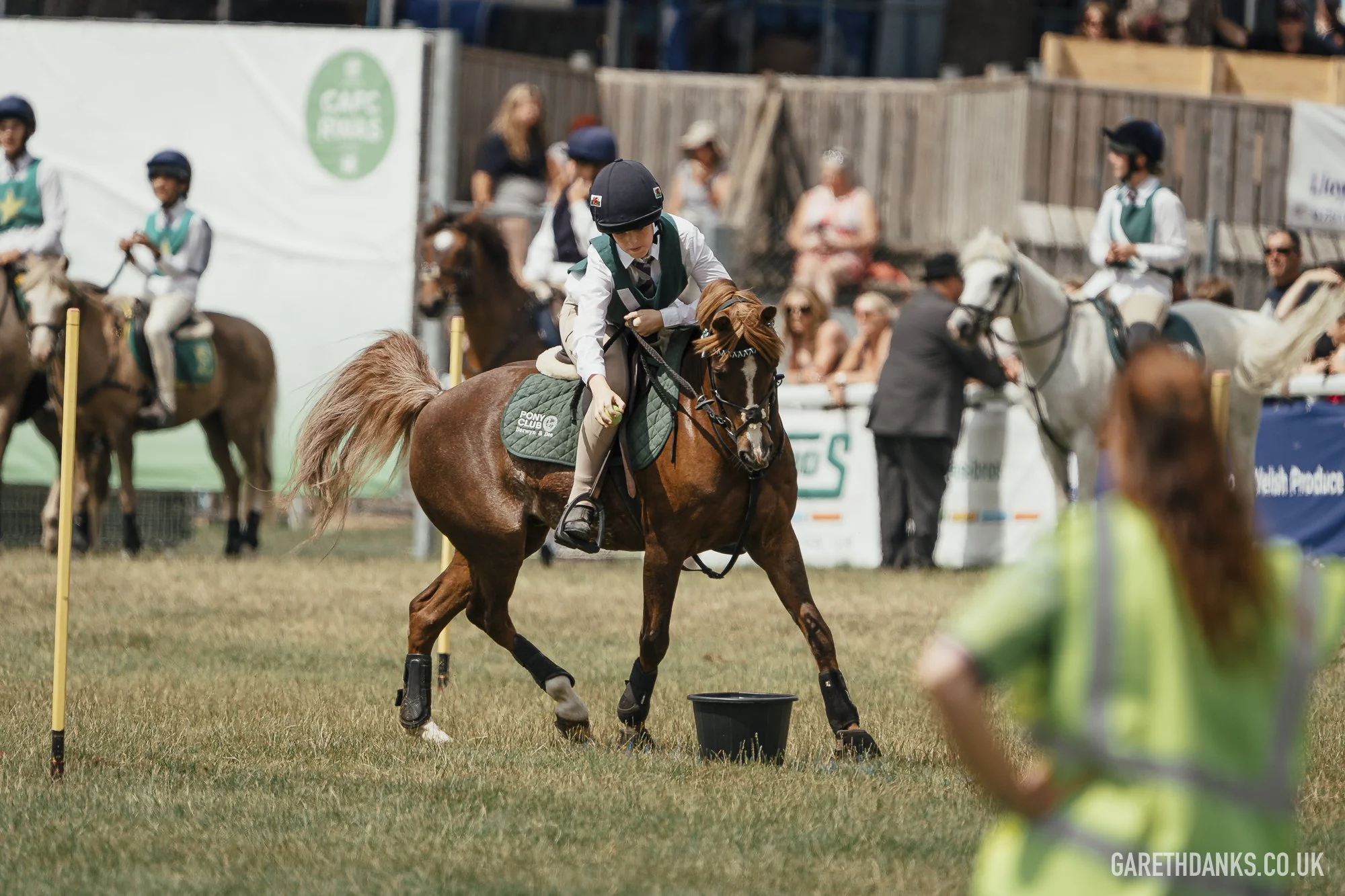 Royal Welsh Show 2026 photography _A7_6900.jpg