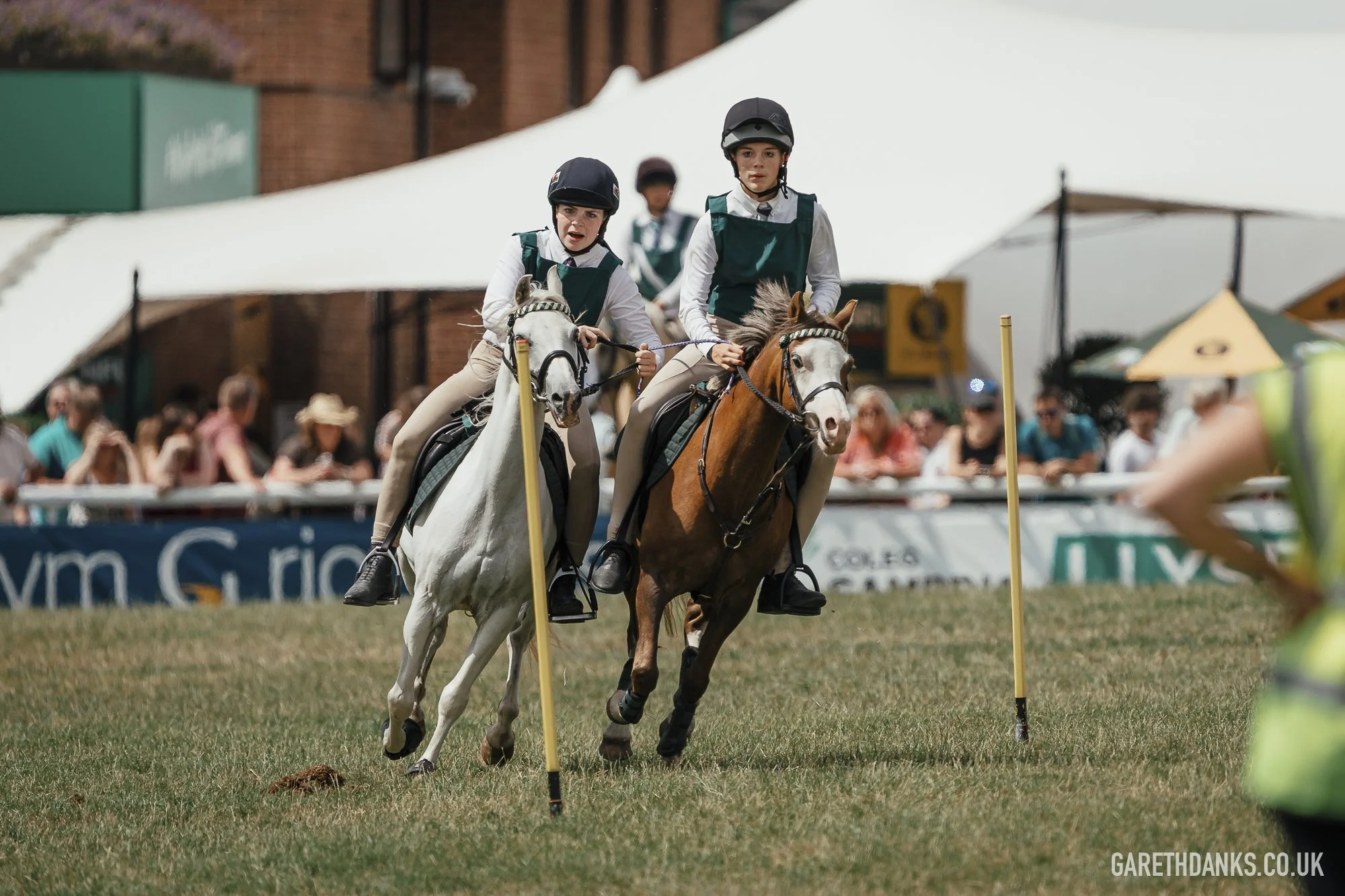 Royal Welsh Show 2026 photography _A7_6857.jpg