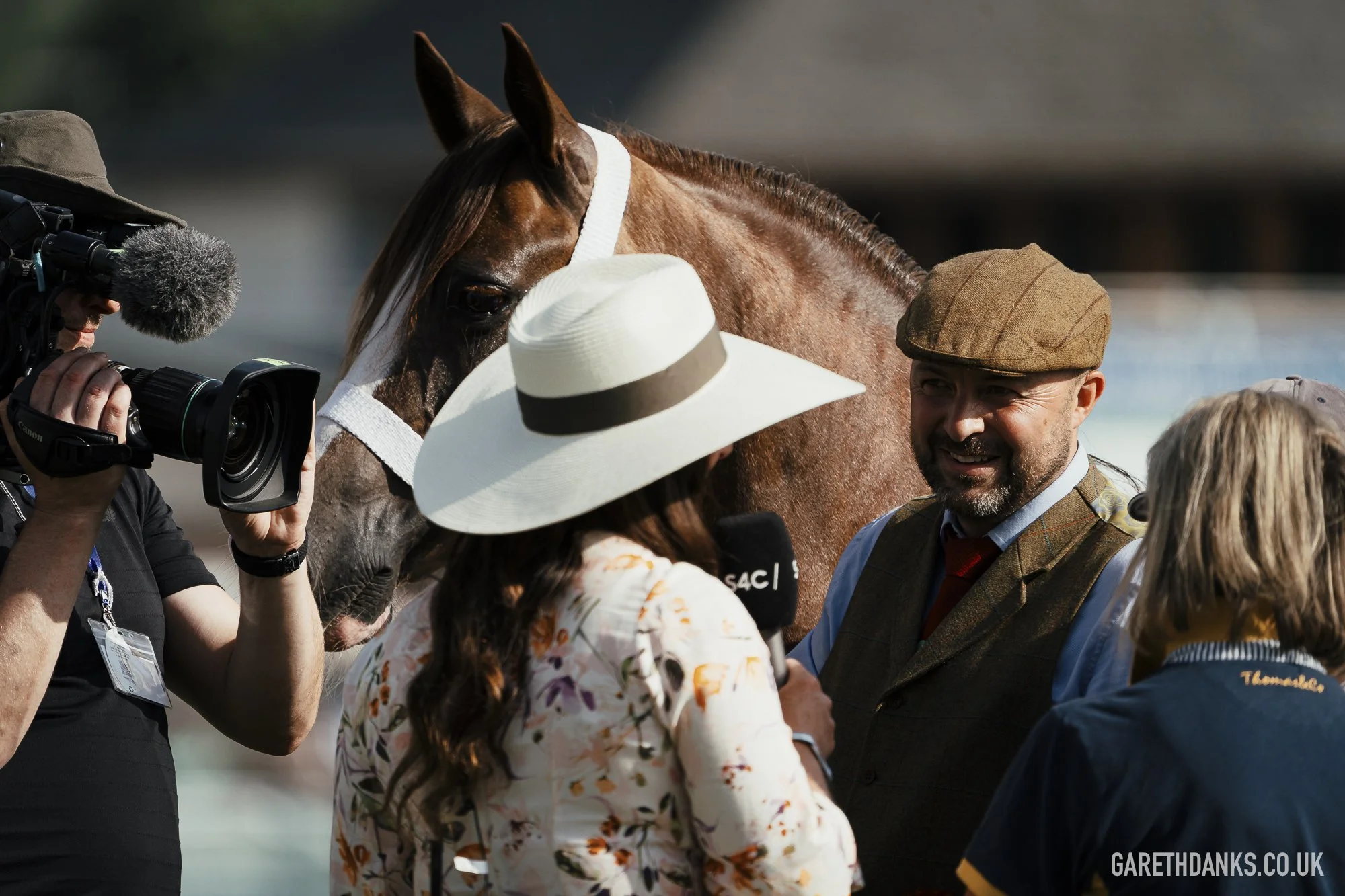 Royal Welsh Show 2026 photography _A7_7284.jpg