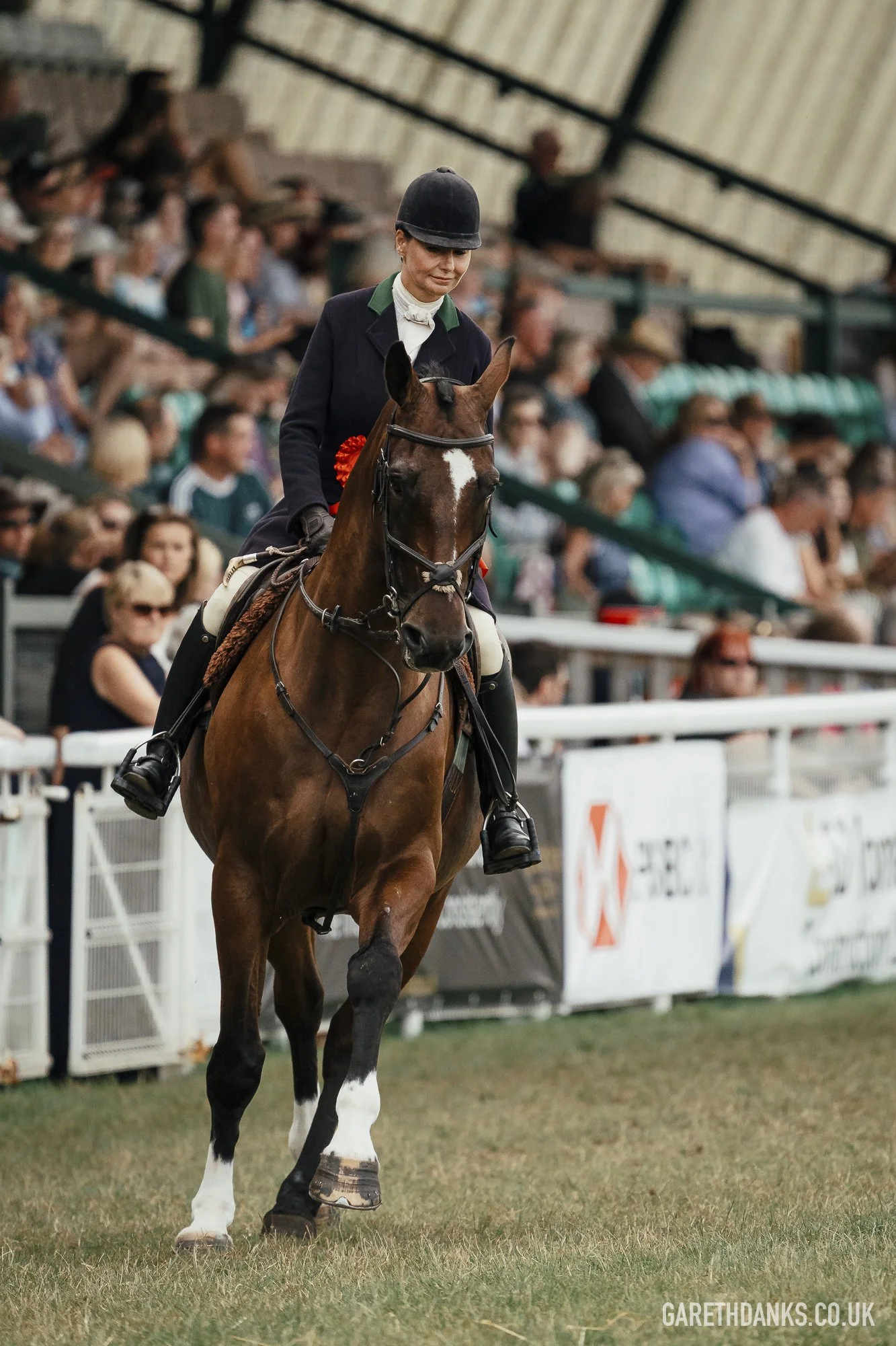 Royal Welsh Show 2026 photography _A7_7221.jpg