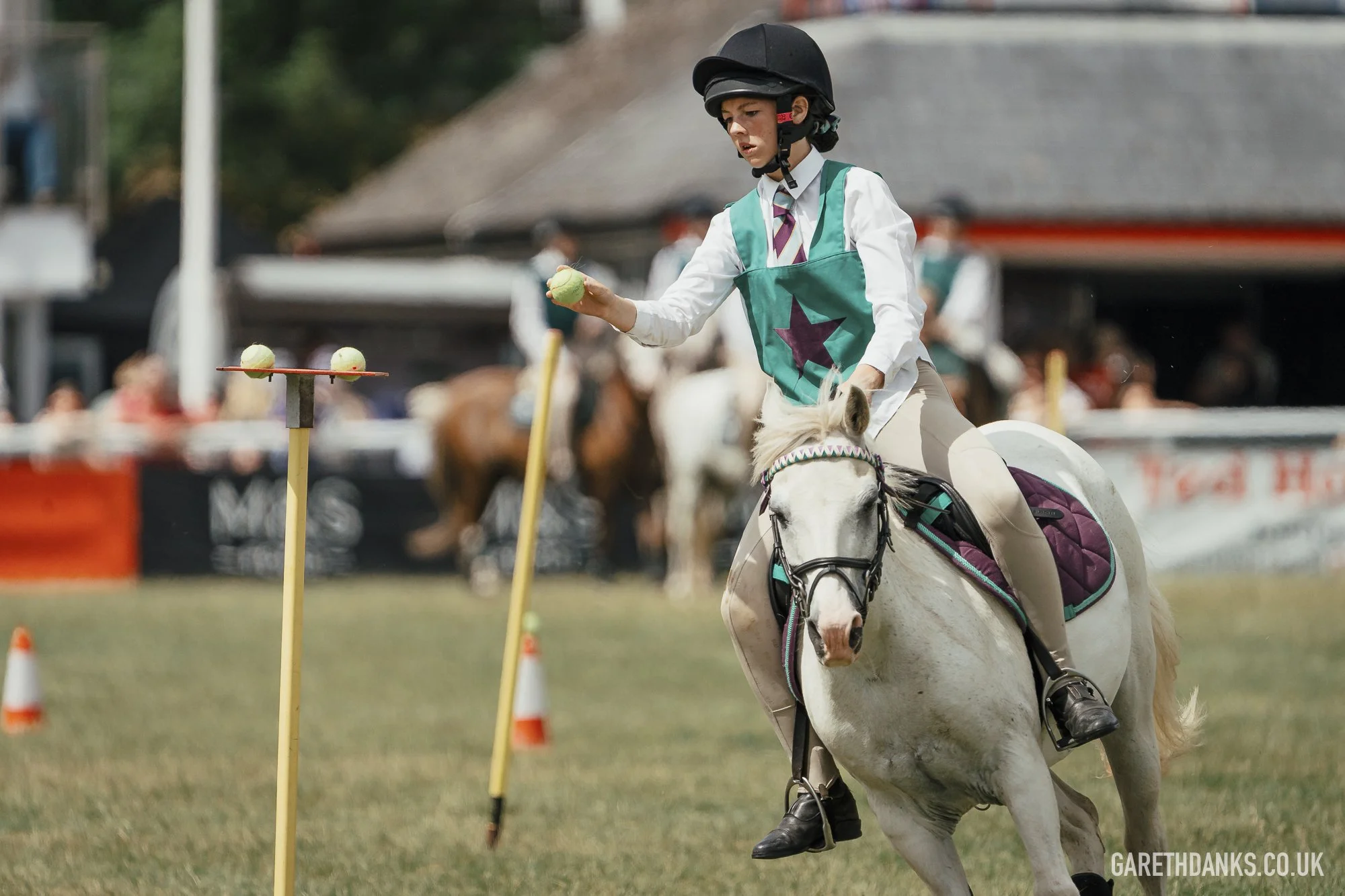 Royal Welsh Show 2026 photography _A7_6995.jpg