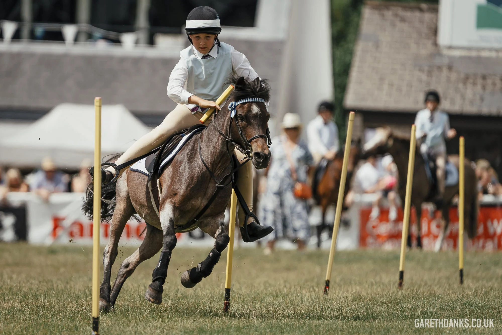 Royal Welsh Show 2026 photography _A7_6838.jpg