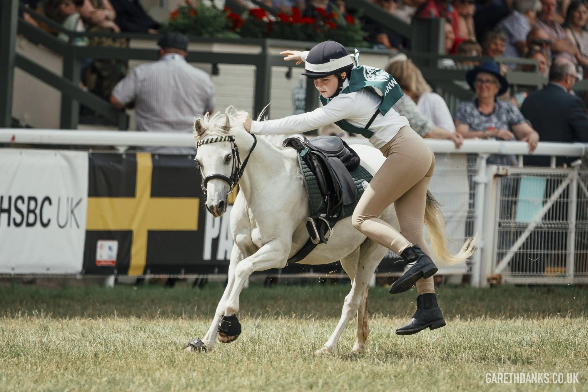 Royal Welsh Show 2026 photography _A7_6930.jpg
