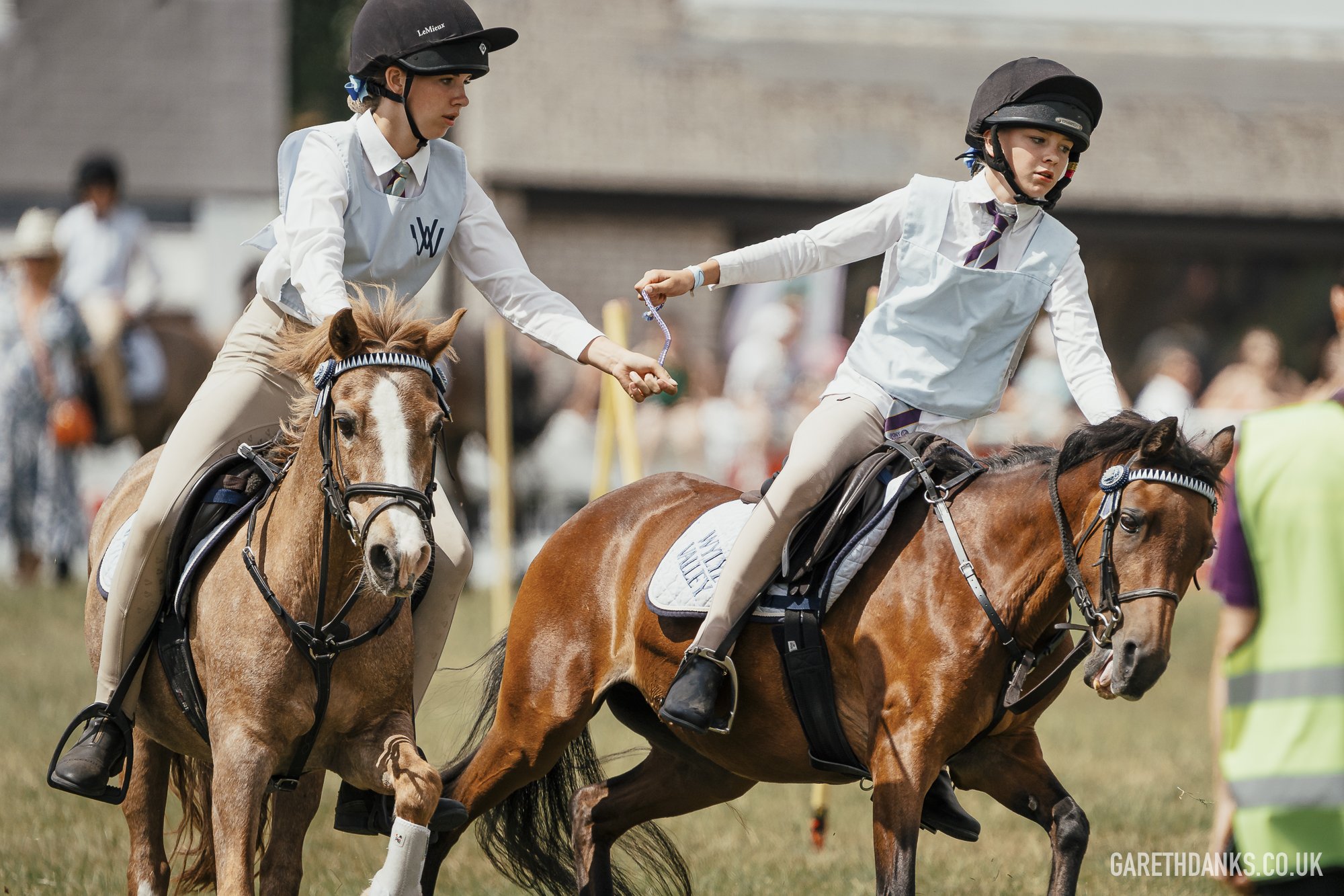 Royal Welsh Show 2026 photography _A7_6870.jpg