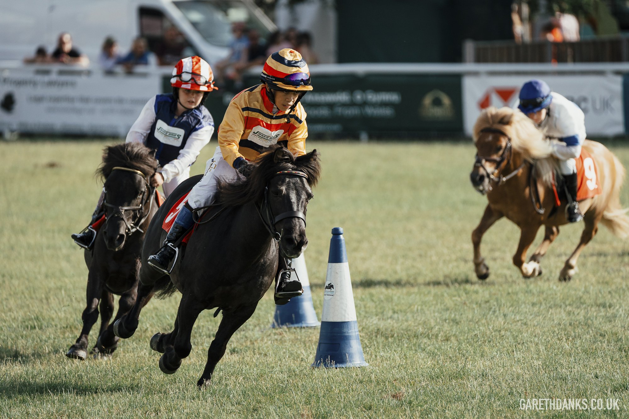 Royal Welsh Show 2026 photography _A7_7318.jpg