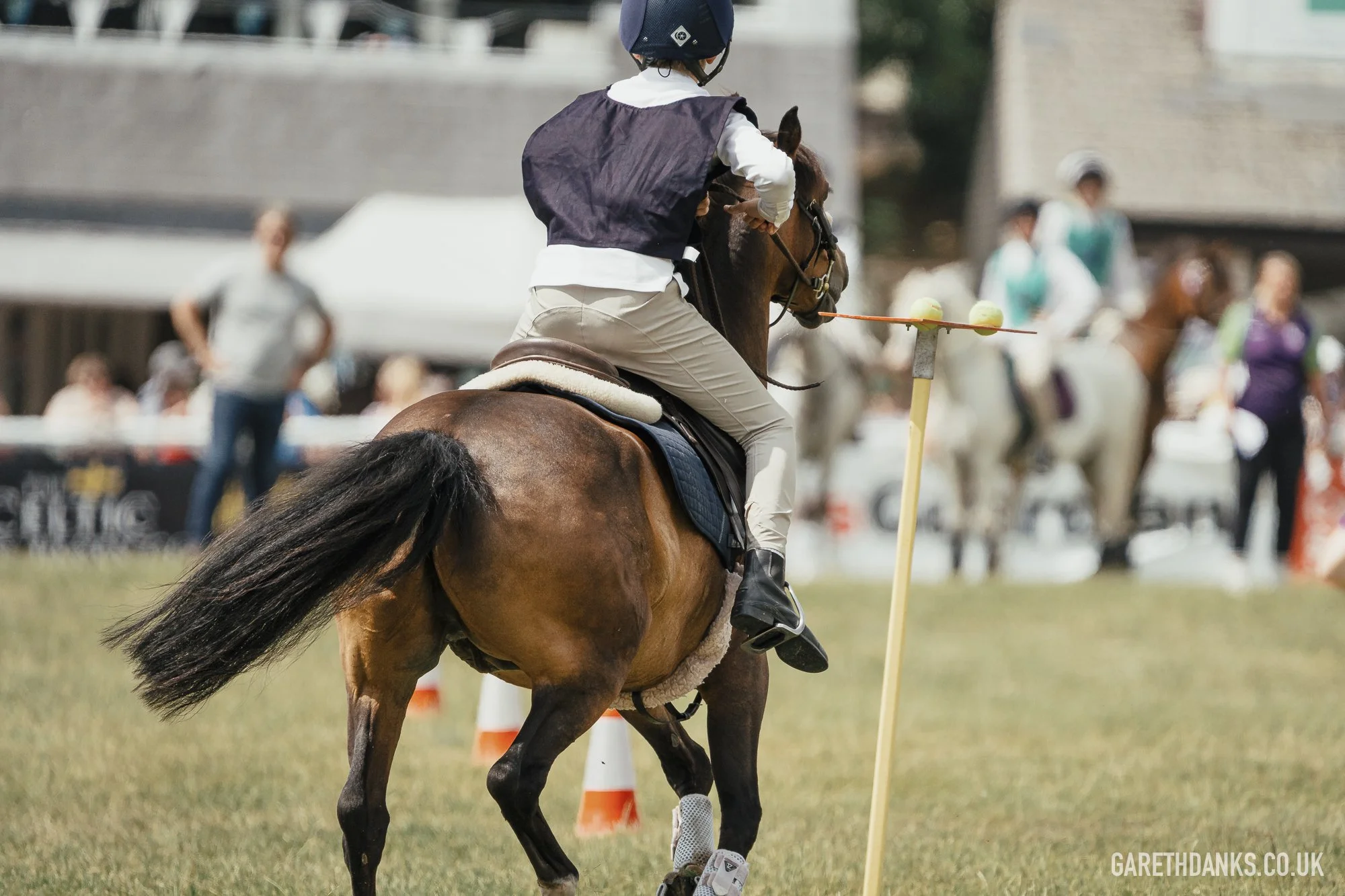 Royal Welsh Show 2026 photography _A7_6974.jpg