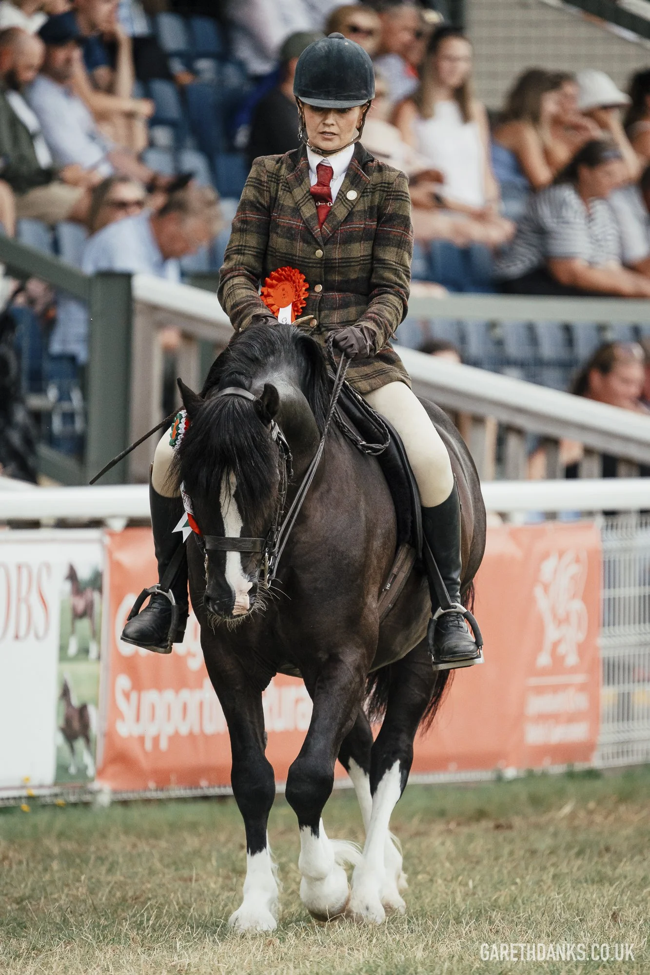 Royal Welsh Show 2026 photography _A7_7192.jpg
