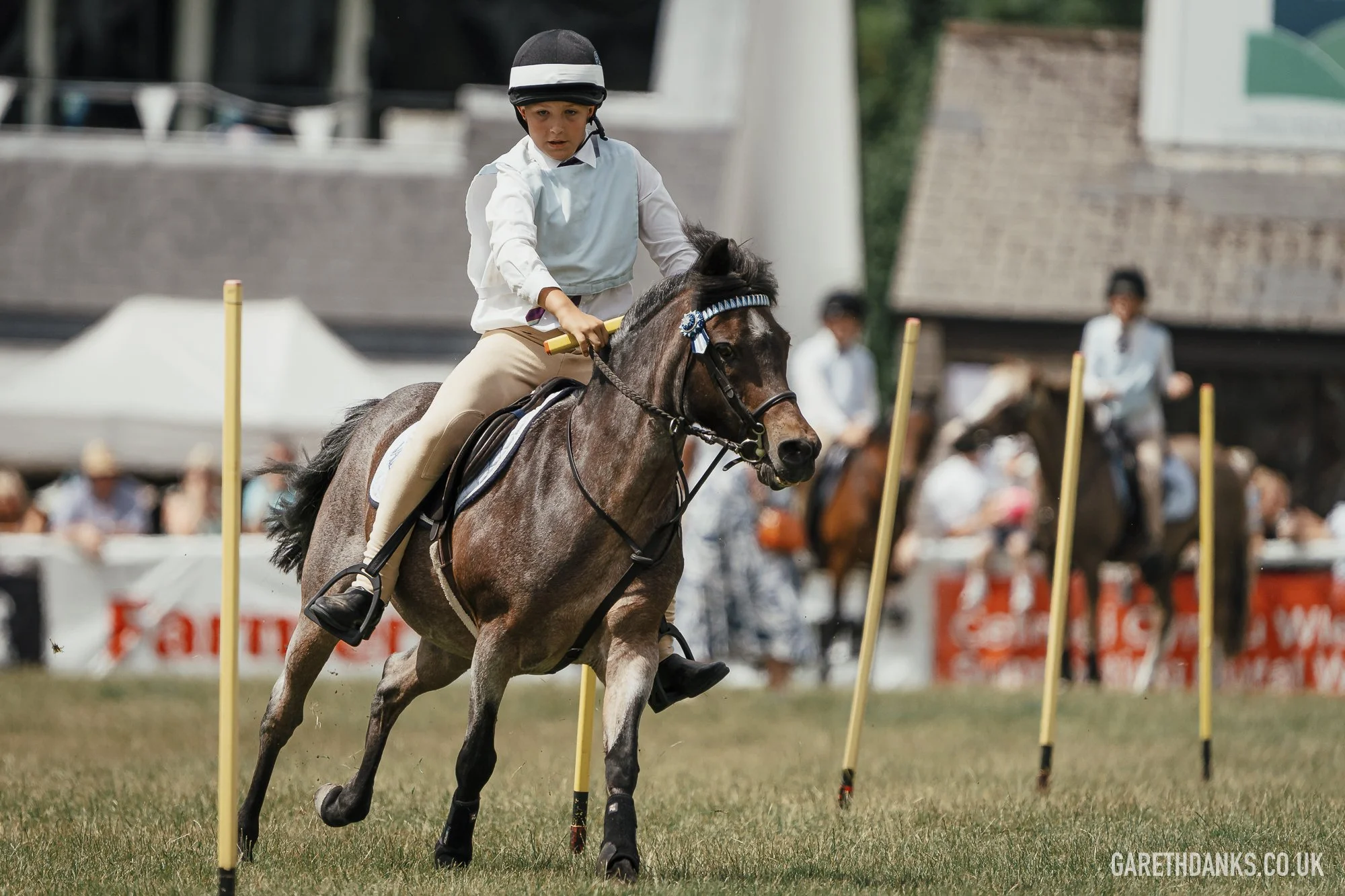 Royal Welsh Show 2026 photography _A7_6839.jpg