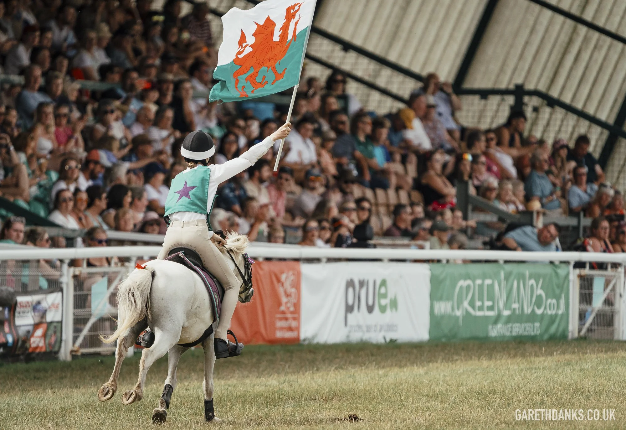 Royal Welsh Show 2026 photography _A7_7130.jpg