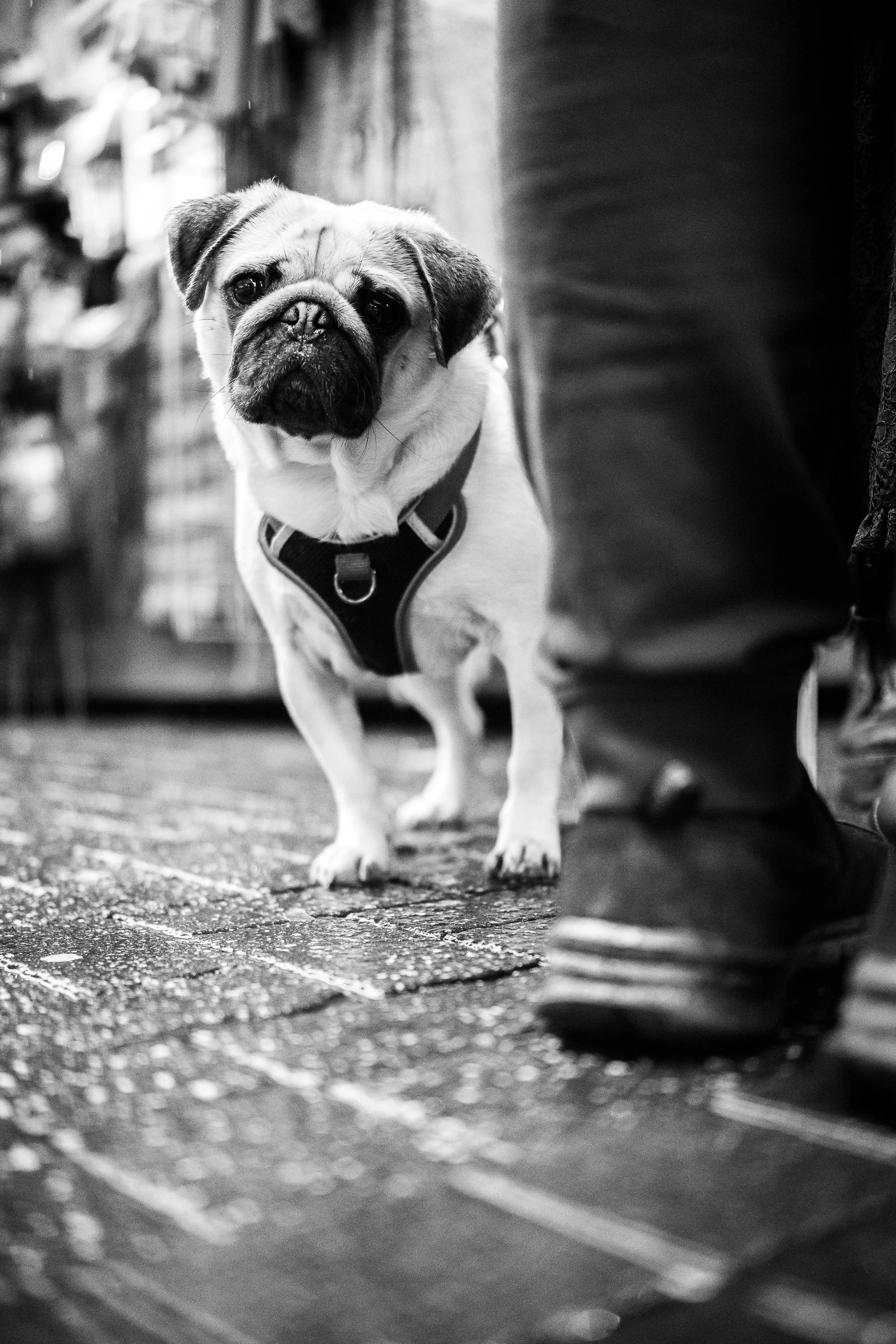 Street photography in bristol with Gareth Danks _XT50664.jpg