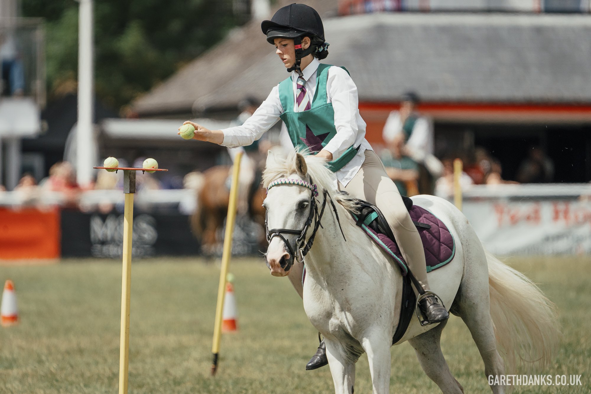 Royal Welsh Show 2026 photography _A7_6996.jpg