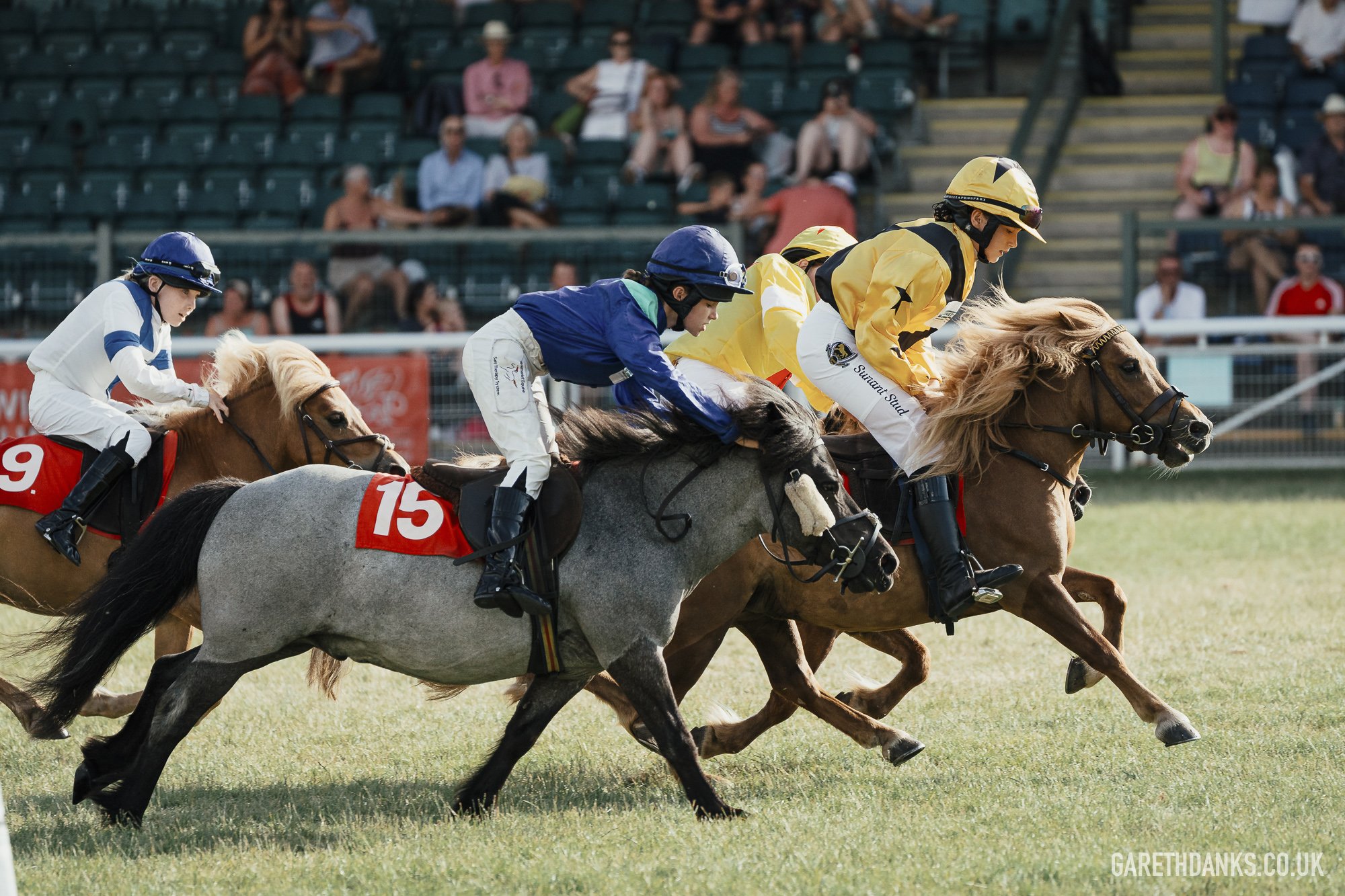 Royal Welsh Show 2026 photography _A7_7364.jpg