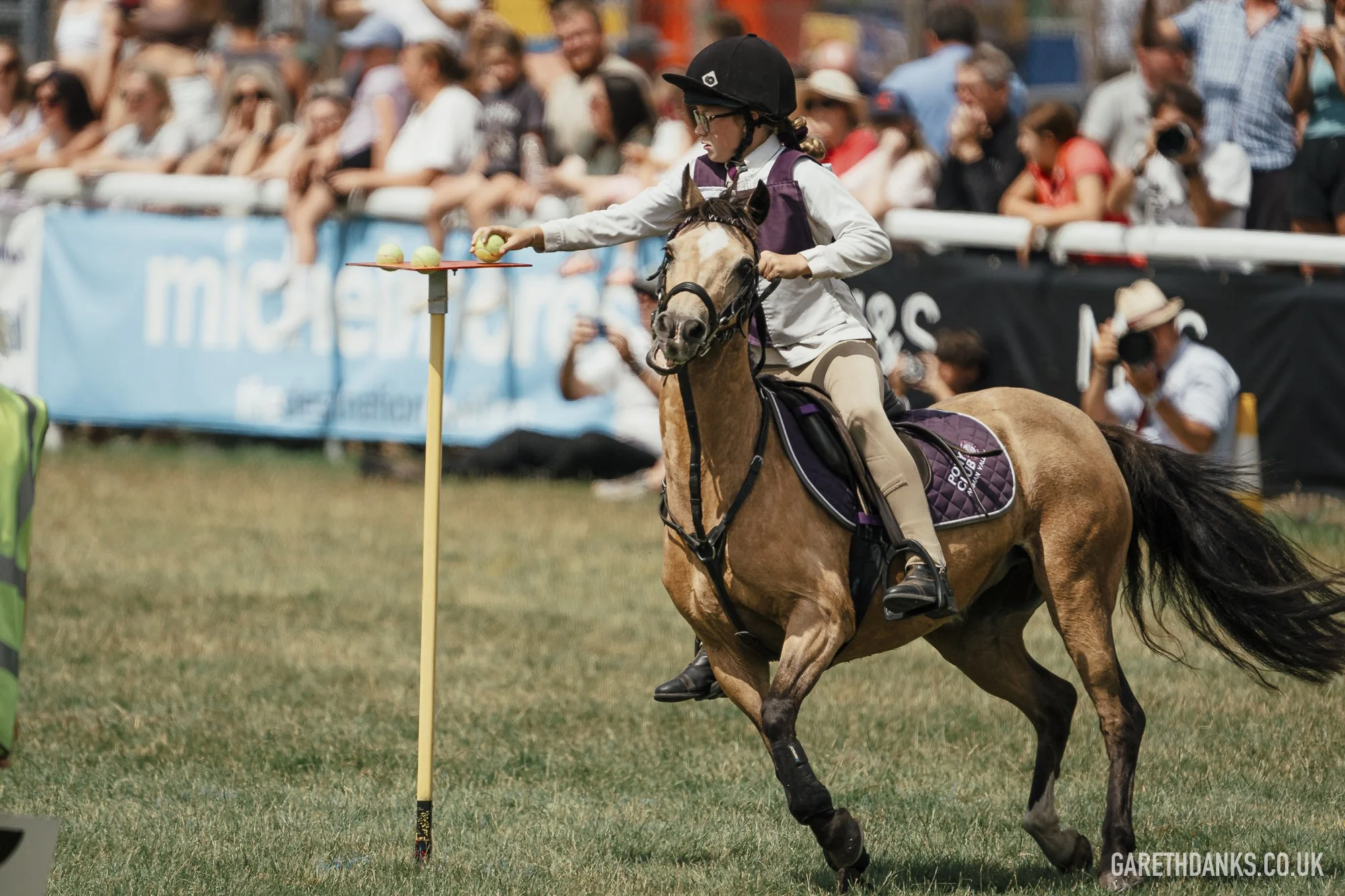 Royal Welsh Show 2026 photography _A7_6988.jpg