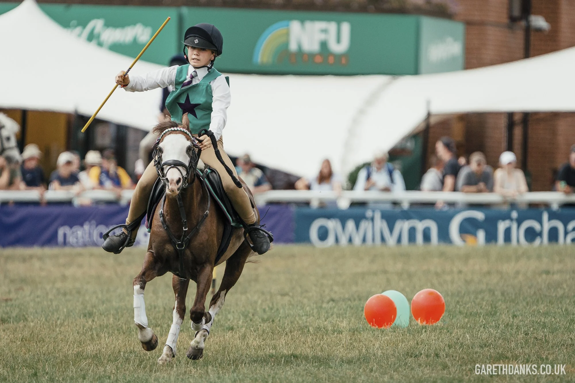 Royal Welsh Show 2026 photography _A7_7078.jpg
