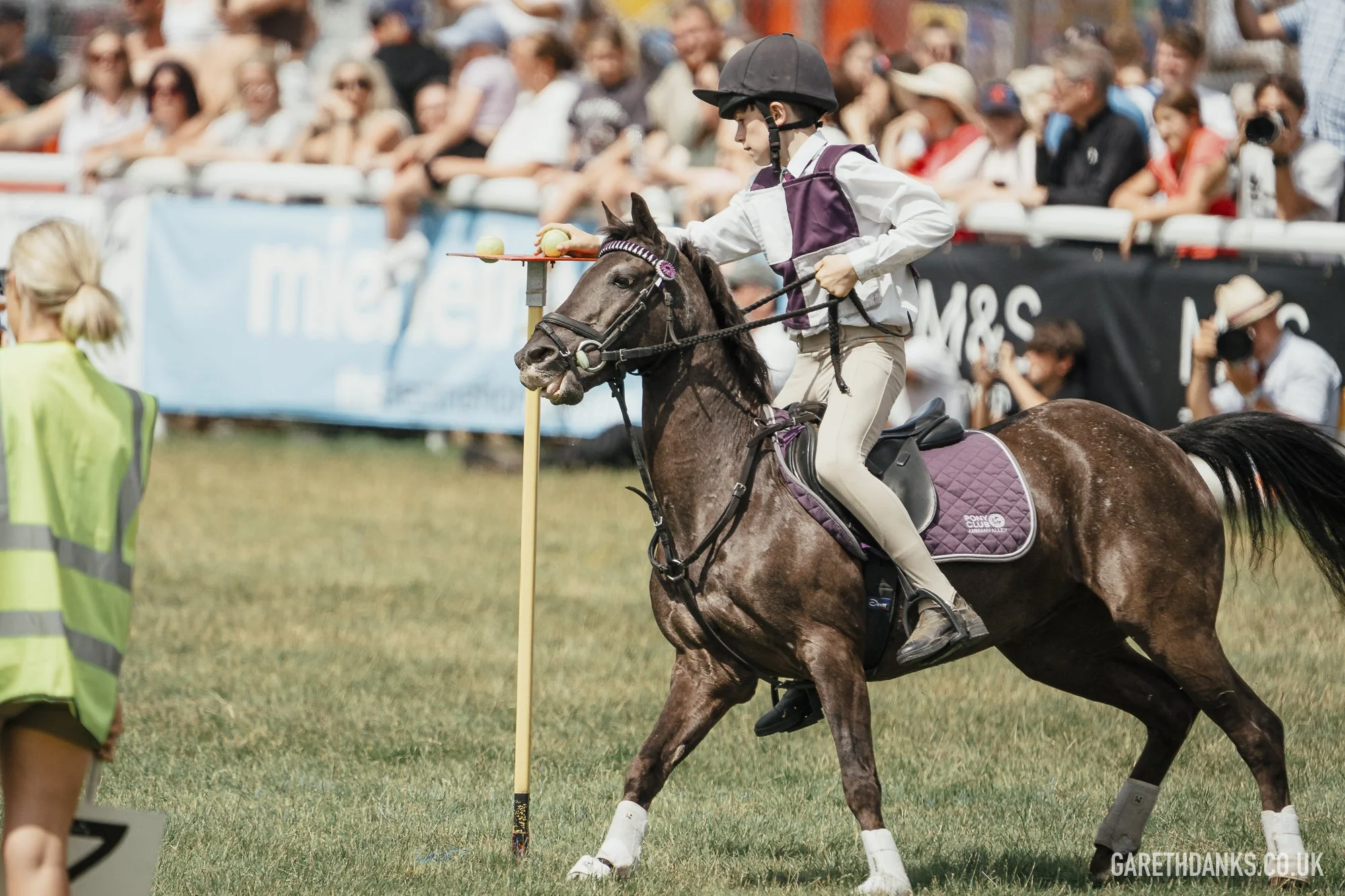 Royal Welsh Show 2026 photography _A7_6981.jpg