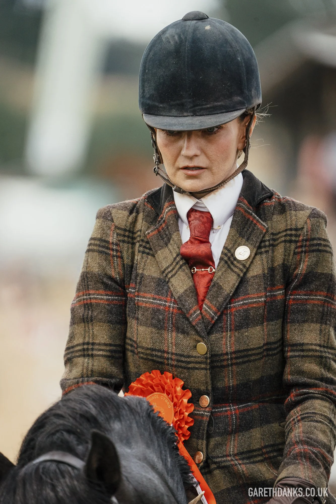 Royal Welsh Show 2026 photography _A7_7162.jpg