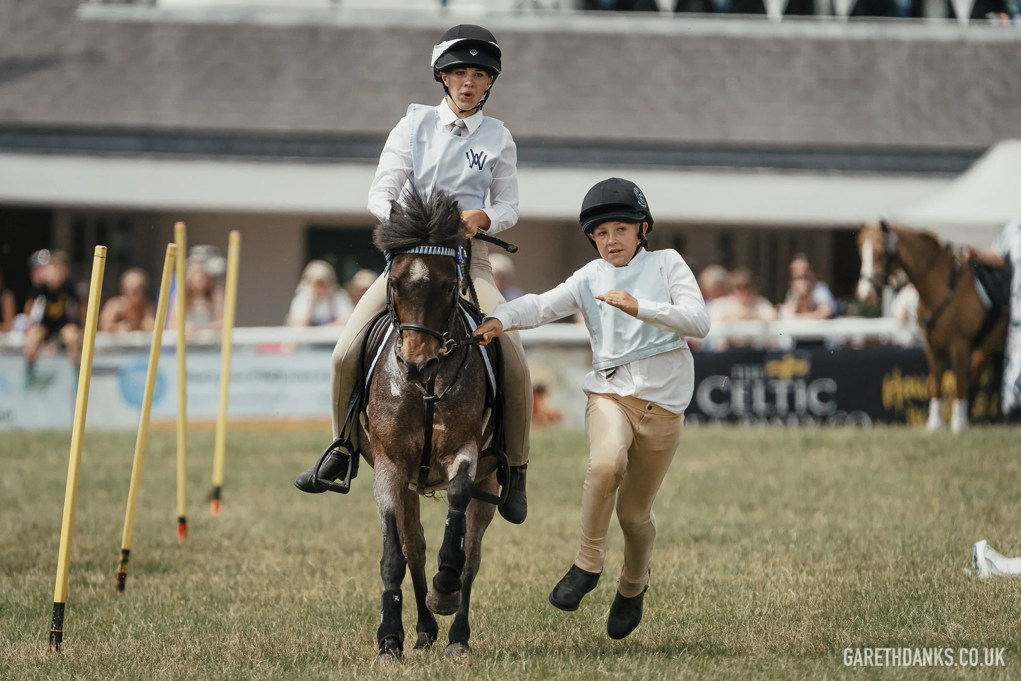 Royal Welsh Show 2026 photography _A7_7143.jpg