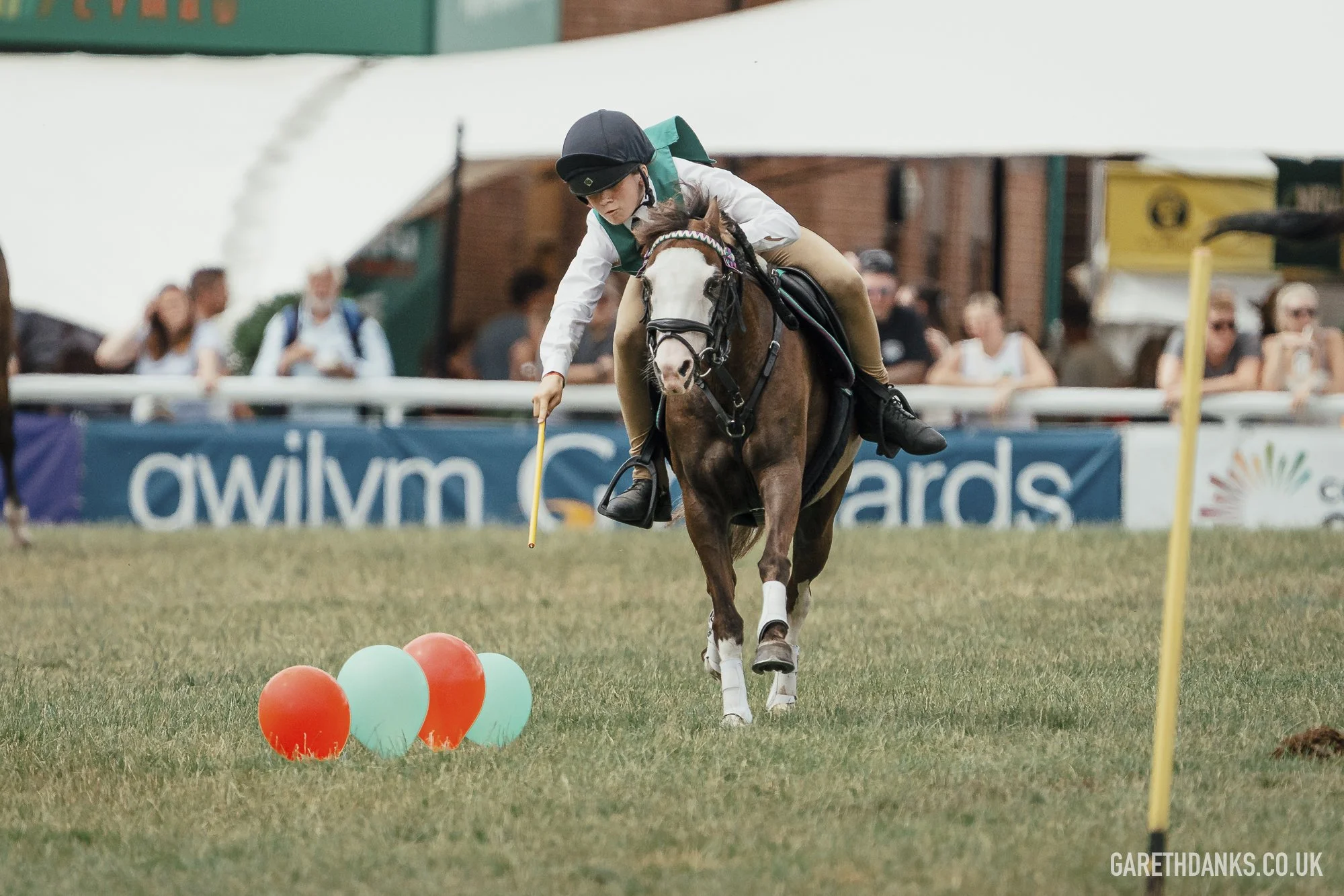 Royal Welsh Show 2026 photography _A7_7073.jpg