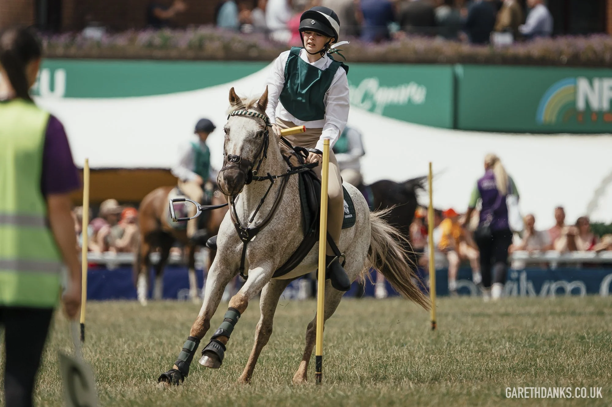 Royal Welsh Show 2026 photography _A7_6846.jpg
