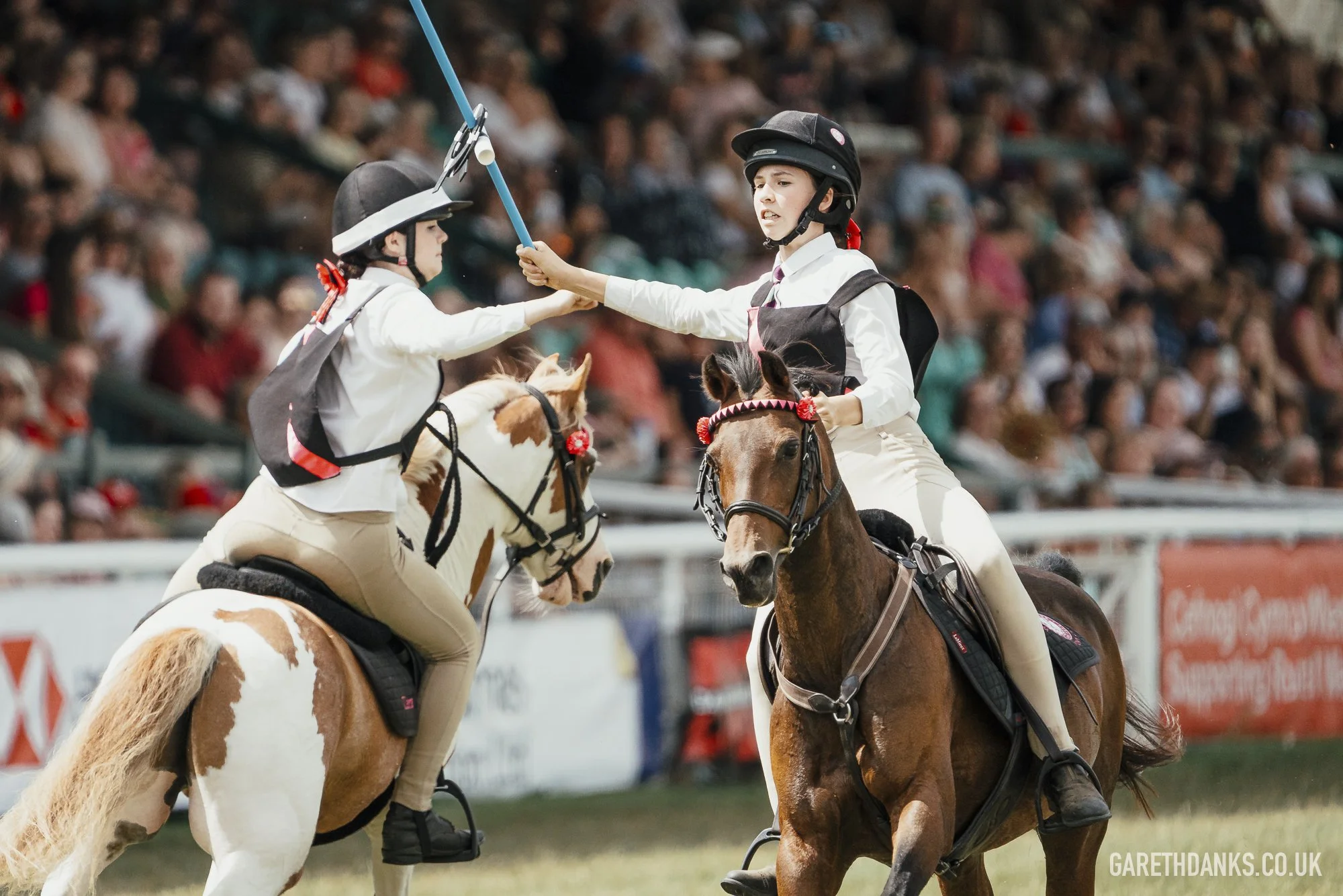 Royal Welsh Show 2026 photography _A7_7023.jpg