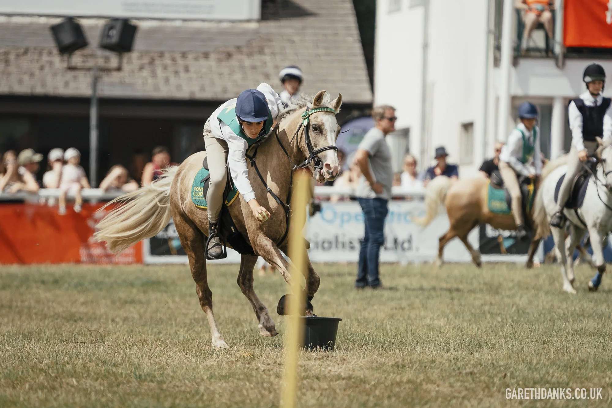 Royal Welsh Show 2026 photography _A7_6885.jpg