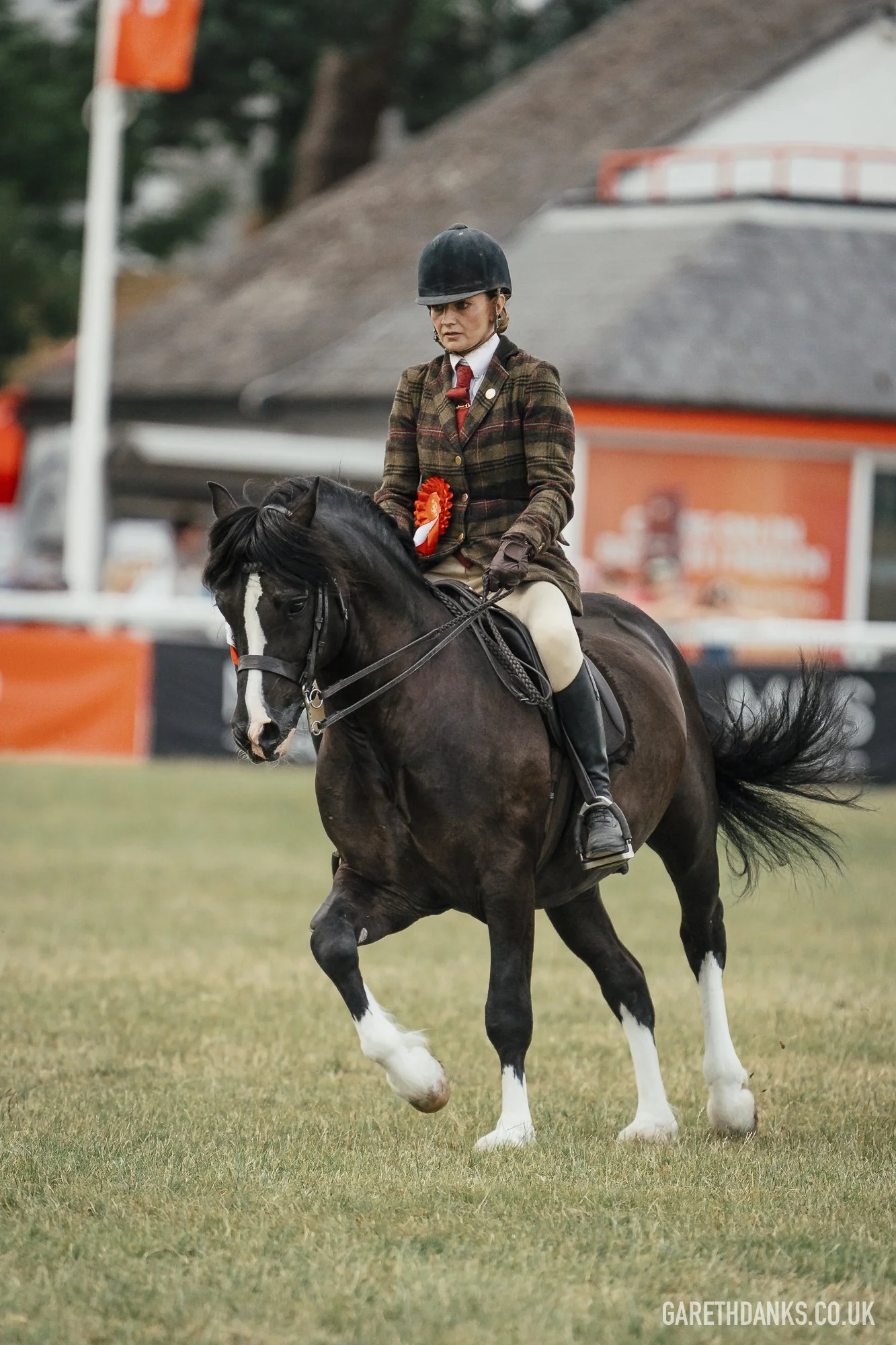 Royal Welsh Show 2026 photography _A7_7169.jpg