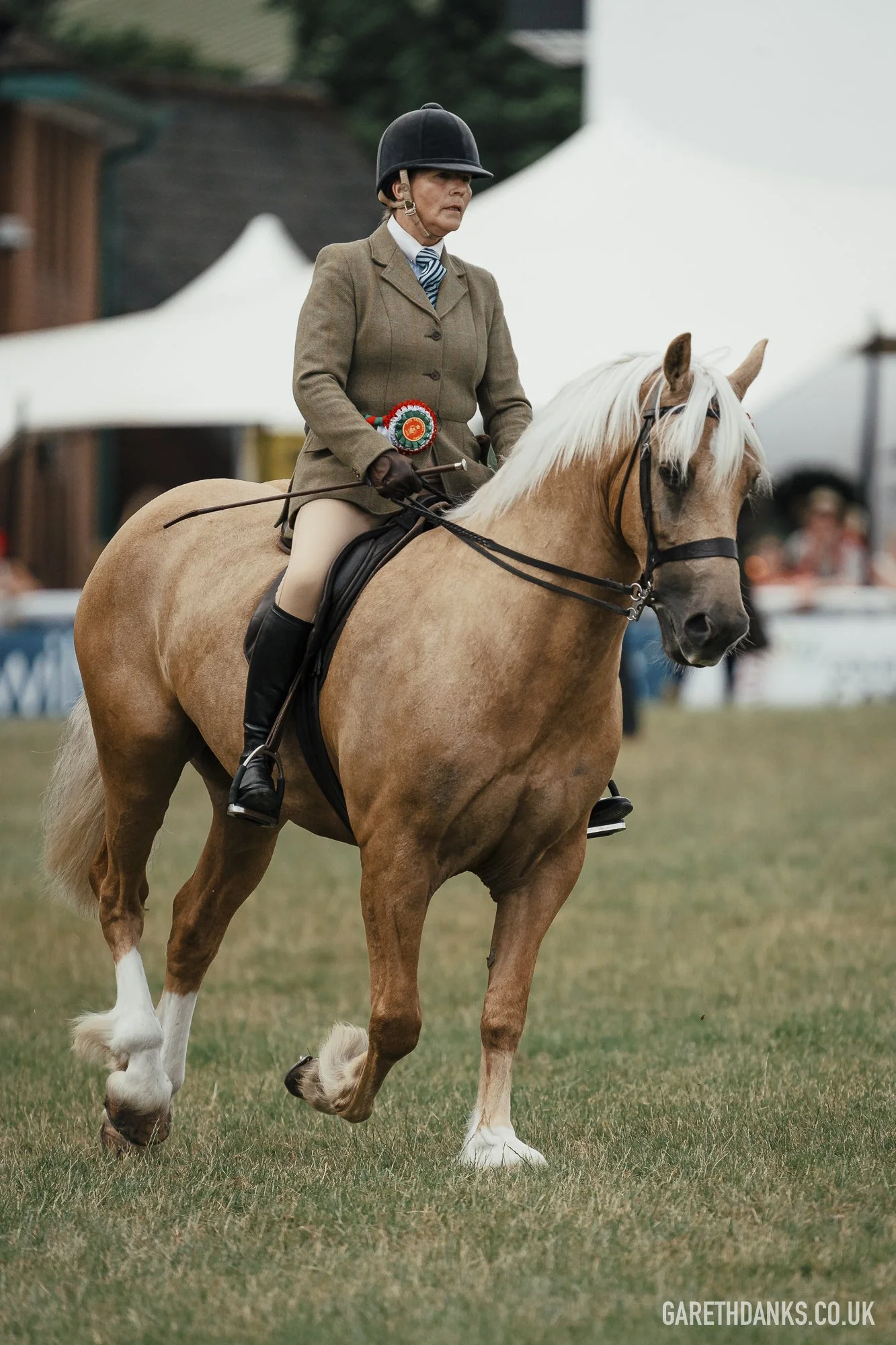 Royal Welsh Show 2026 photography _A7_7204.jpg
