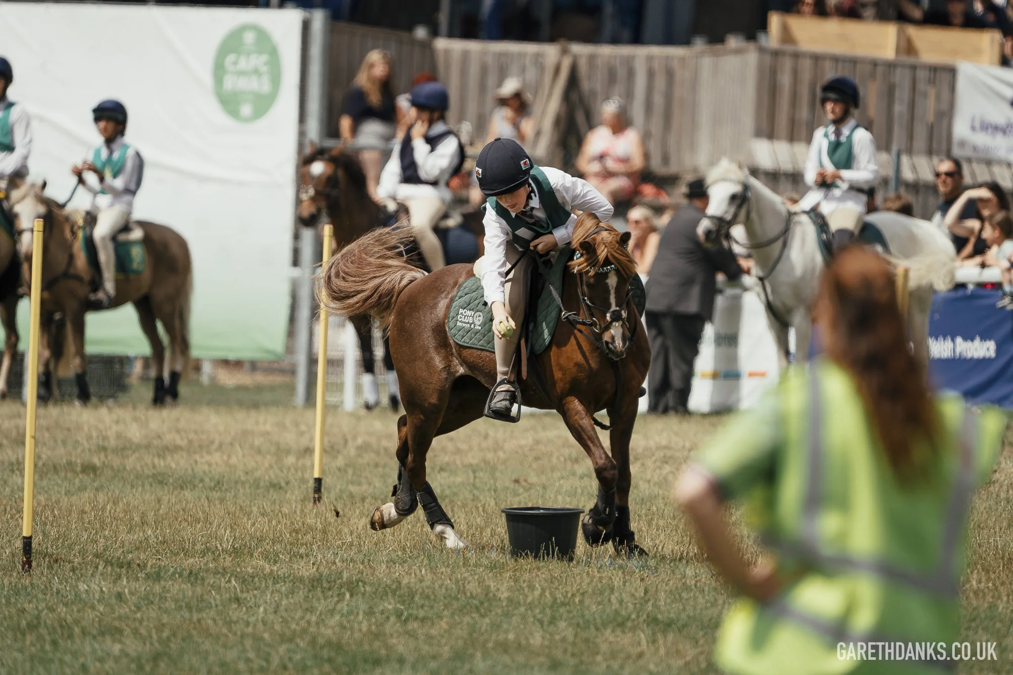 Royal Welsh Show 2026 photography _A7_6901.jpg