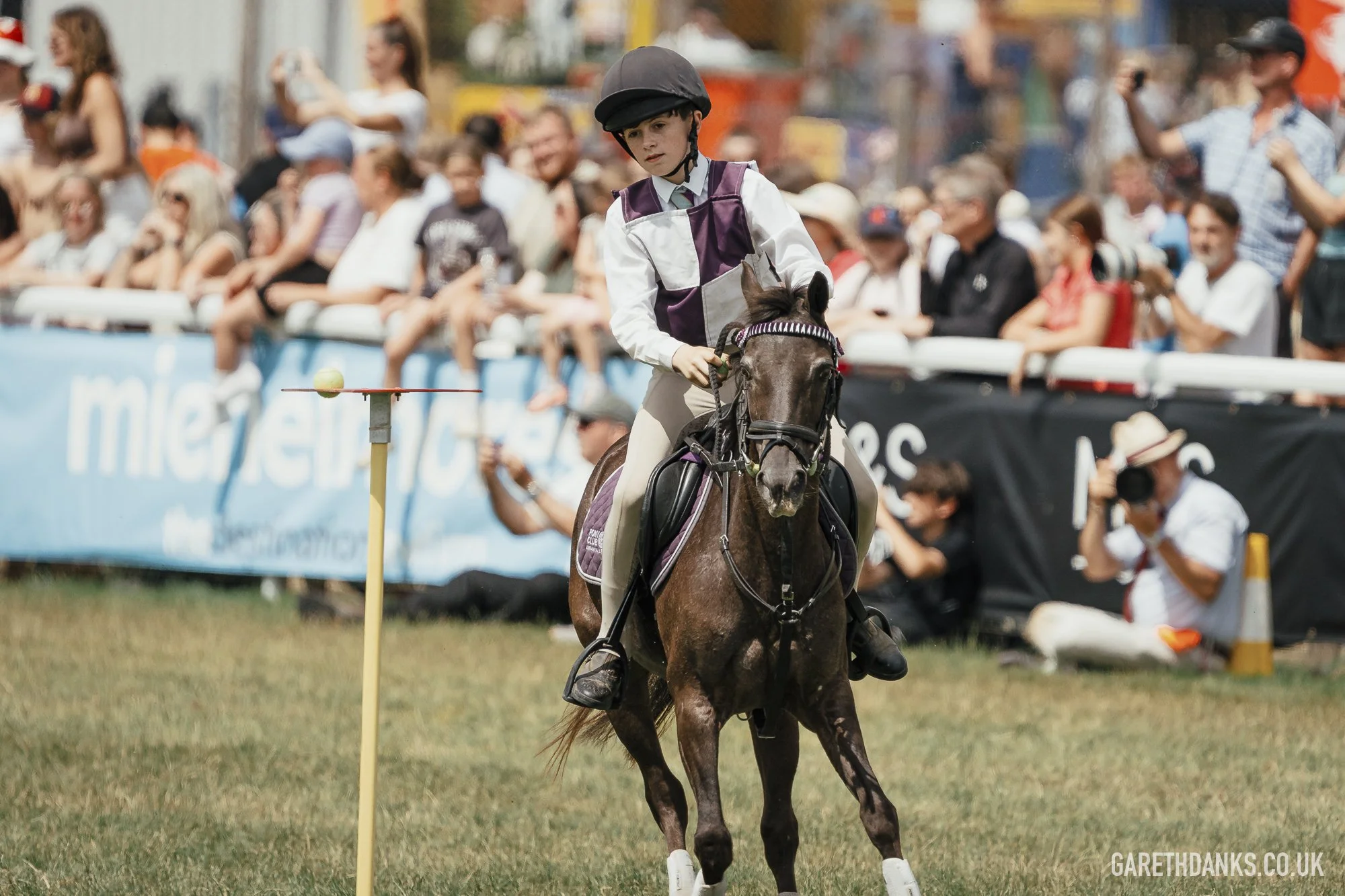 Royal Welsh Show 2026 photography _A7_6979.jpg