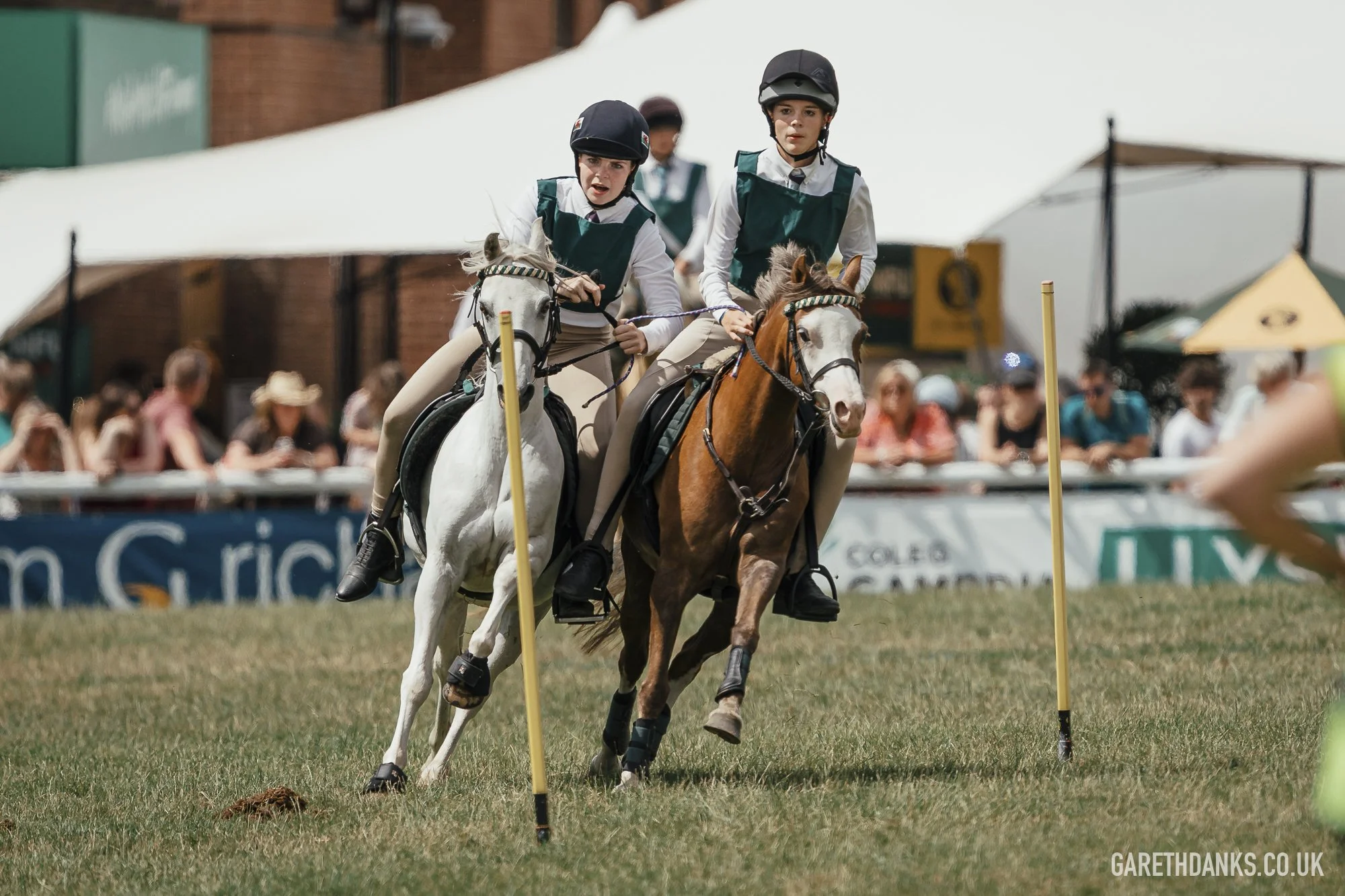 Royal Welsh Show 2026 photography _A7_6856.jpg
