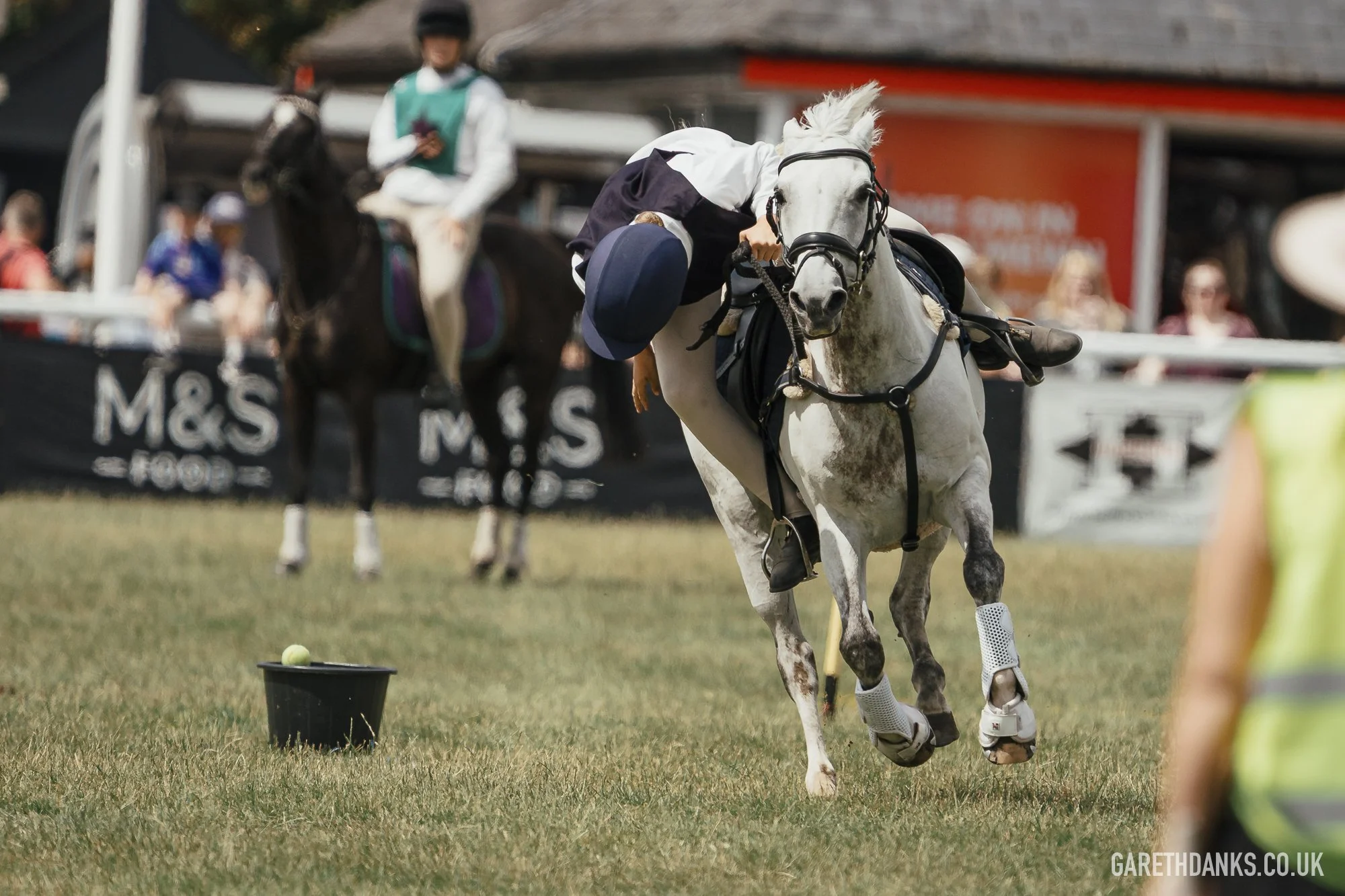 Royal Welsh Show 2026 photography _A7_6874.jpg