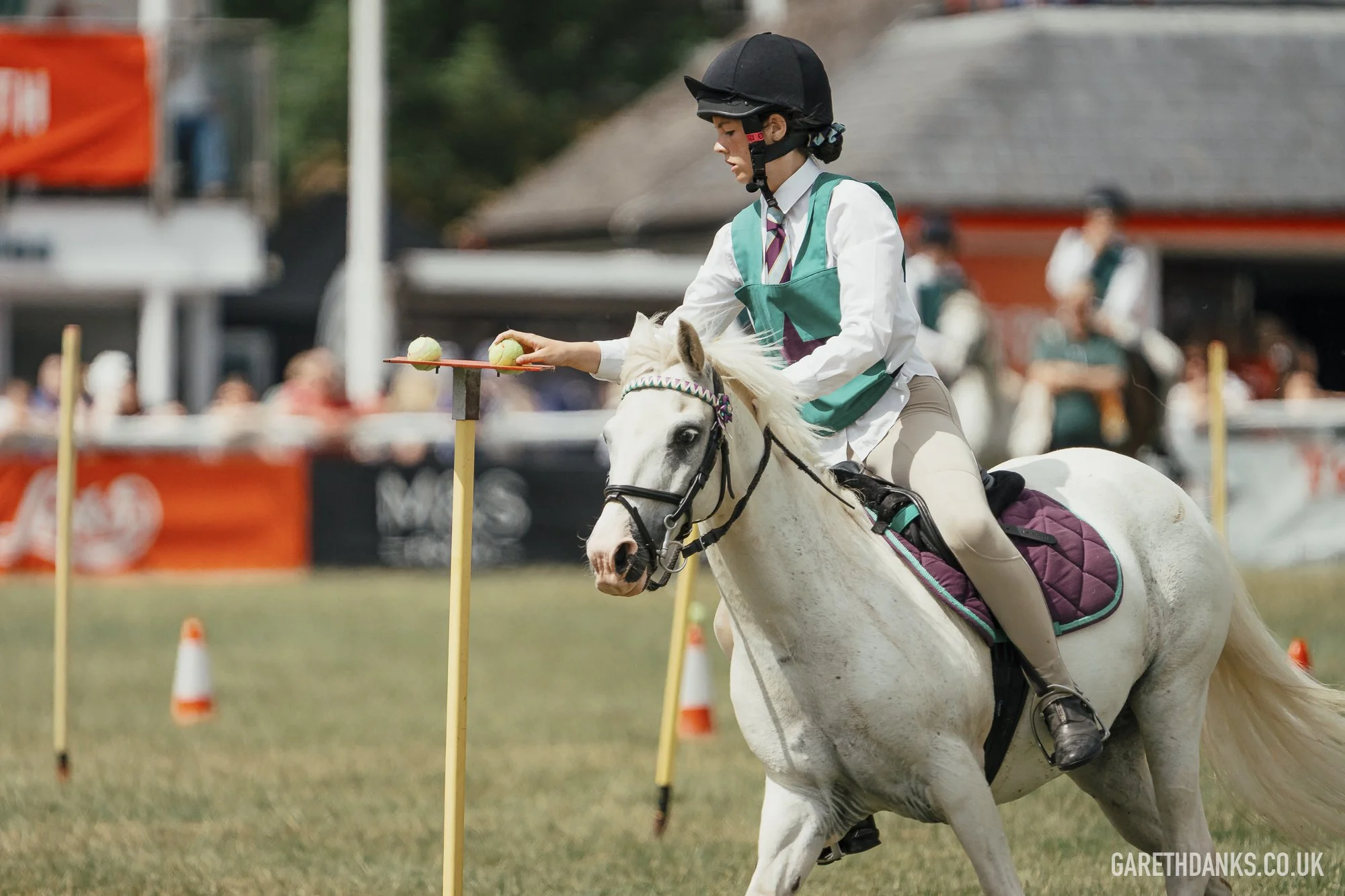 Royal Welsh Show 2026 photography _A7_6997.jpg