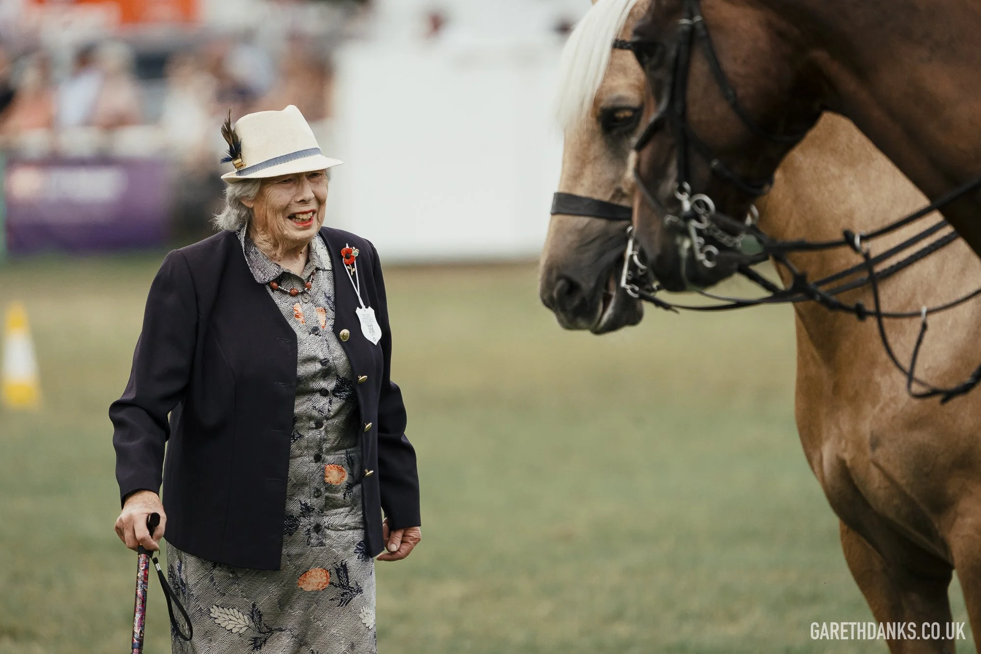 Royal Welsh Show 2026 photography _A7_7268.jpg