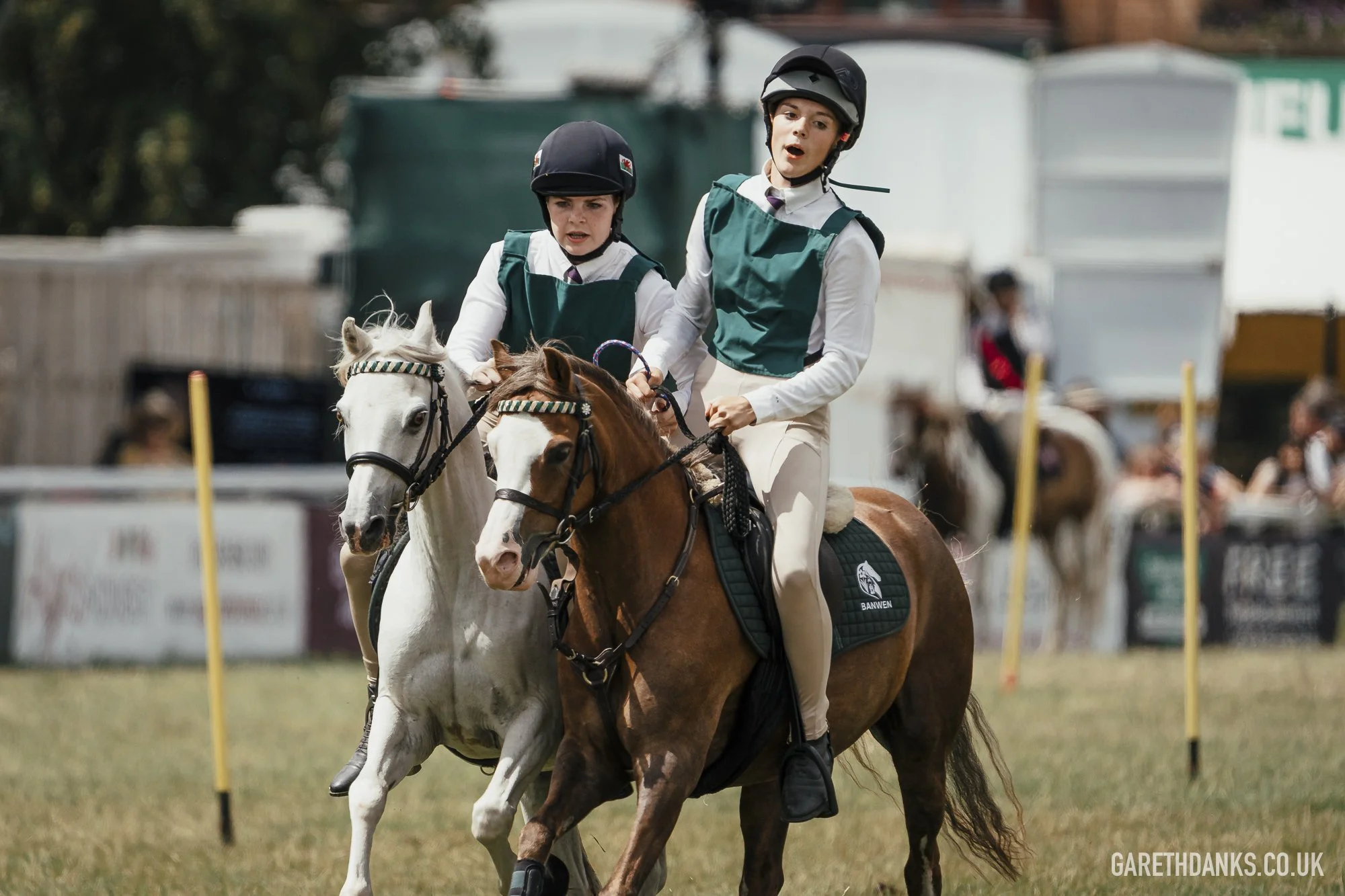 Royal Welsh Show 2026 photography _A7_6865.jpg