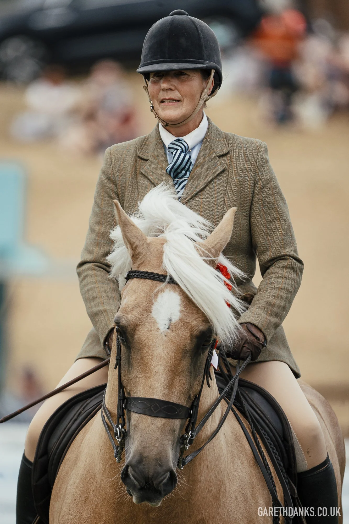 Royal Welsh Show 2026 photography _A7_7196.jpg
