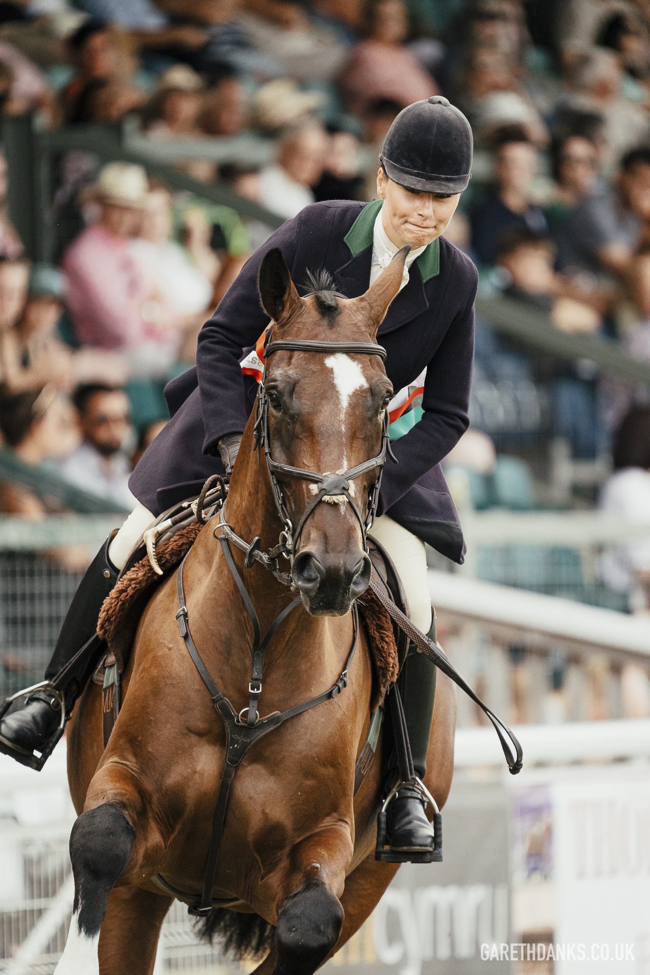 Royal Welsh Show 2026 photography _A7_7231.jpg