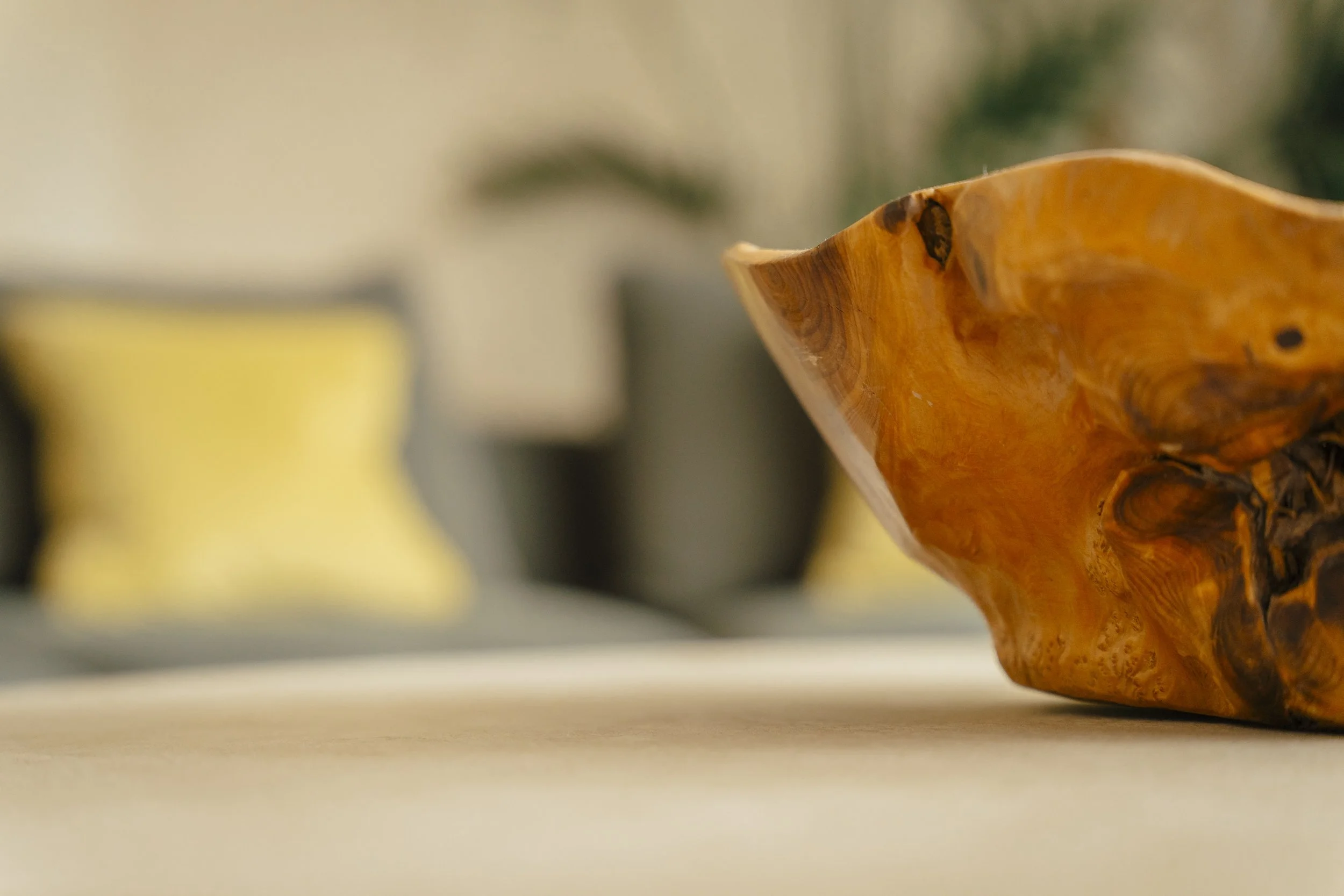 Gareth Danks Photography interior design photoshoot SA1 interiors _A7_1800.jpg